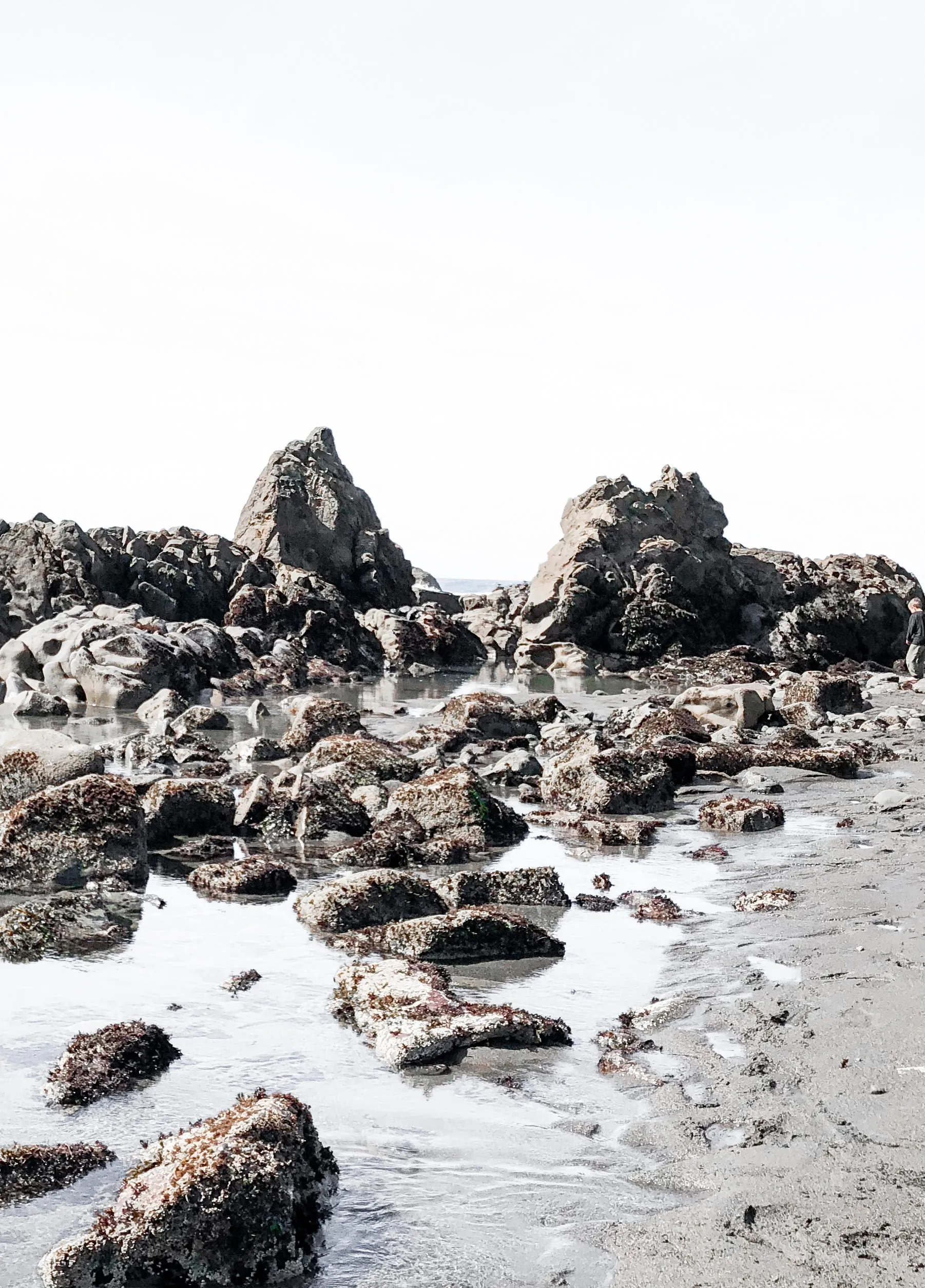 False Klamath Cove
