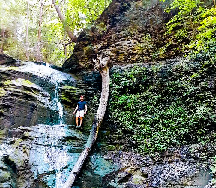 Uplands Hiking Trail along Barnes Gulley