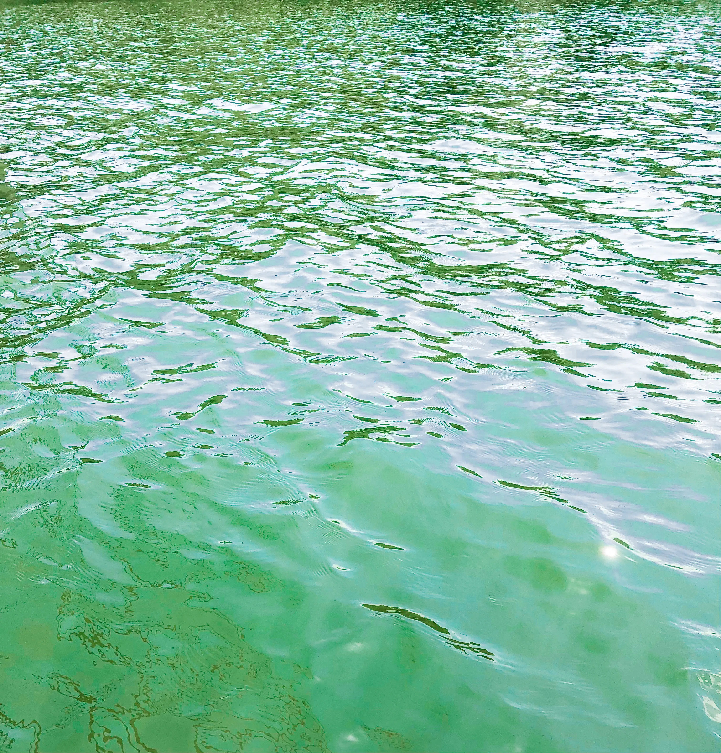 Swim in Lake Sidney Lanier at Dogwood Park
