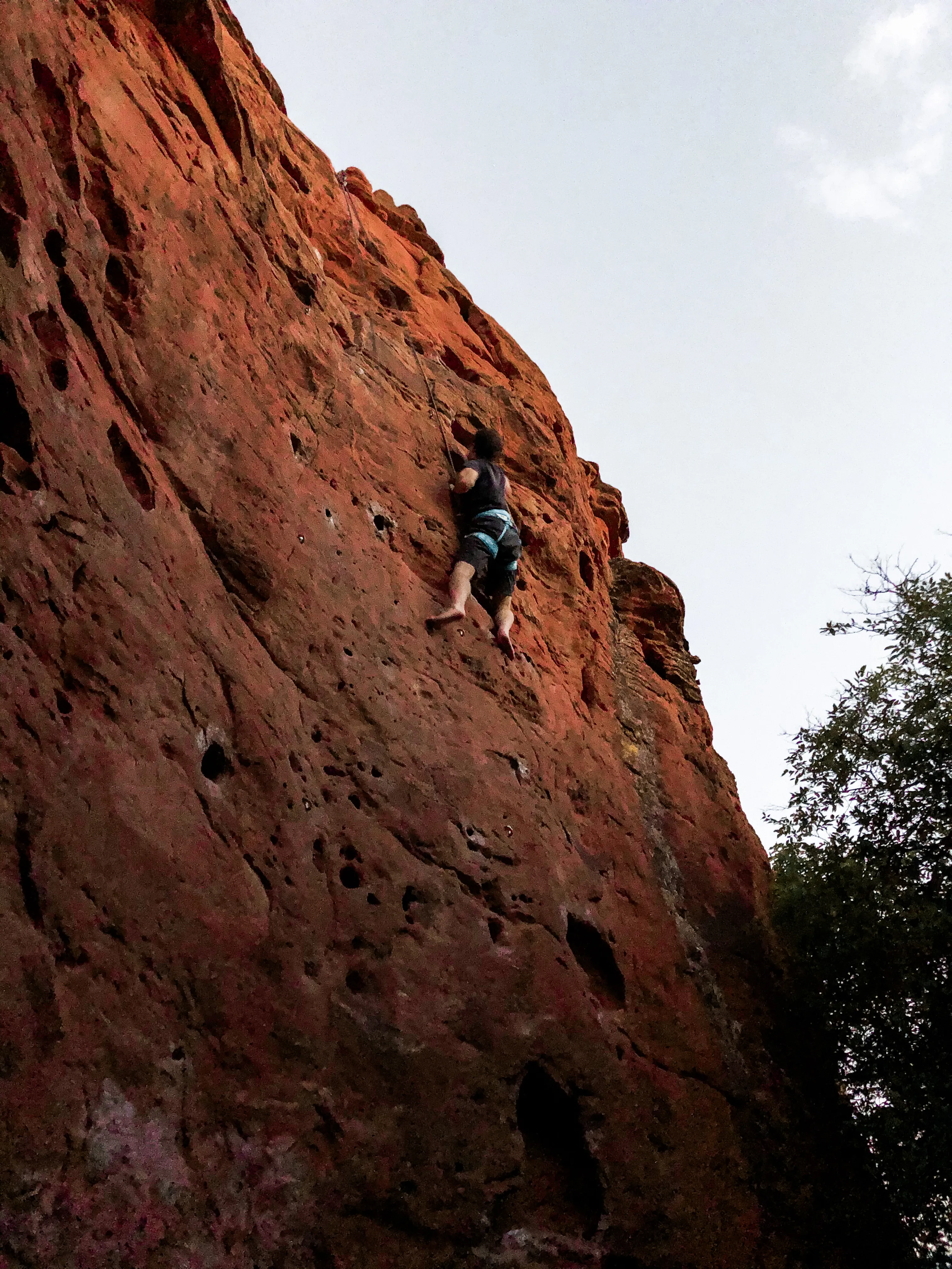 Rock Climb in Pioneer Park