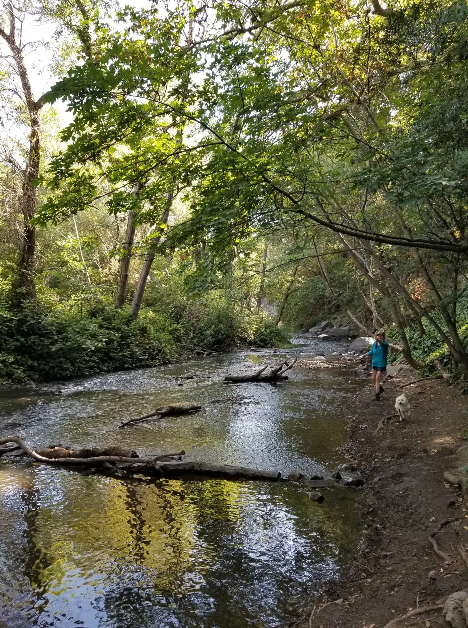 Los Gatos Trail to Jones Trail Loop