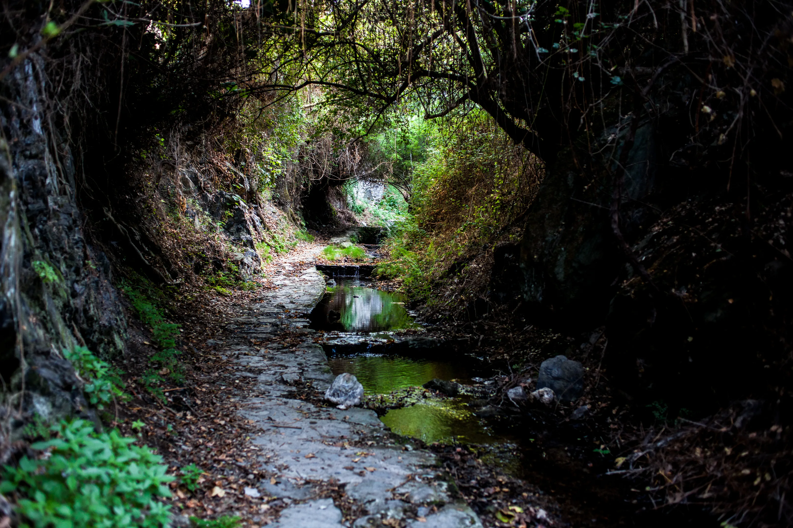 Walk to Amir Ali Springs