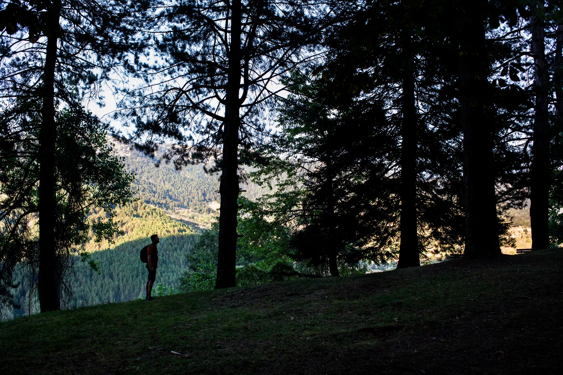 Explore the Garden of Averof in Metsovo