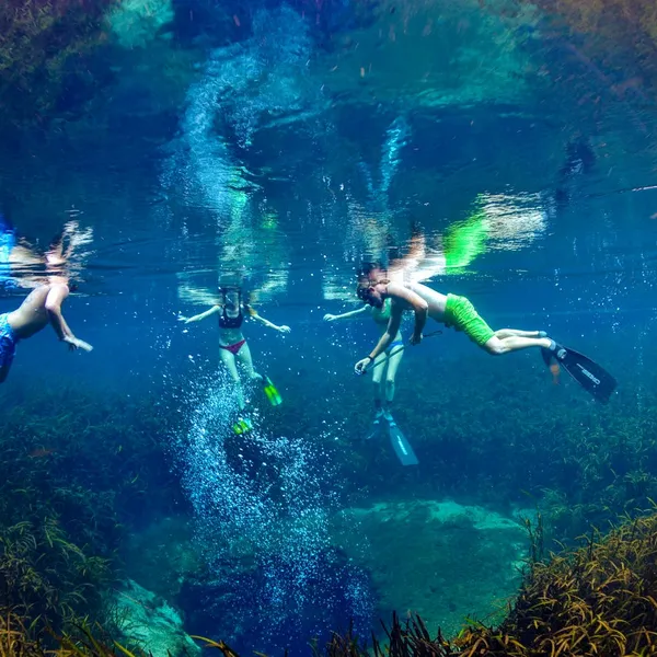 20 Must-Do Adventures in Florida