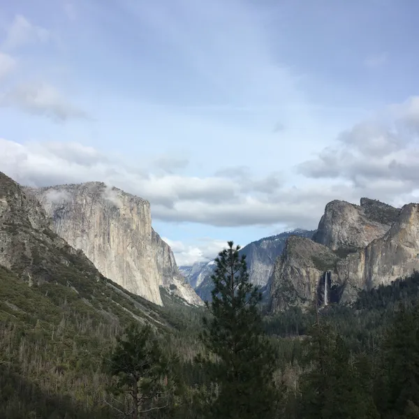Is This Land Made for You and Me?