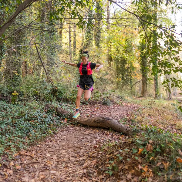 13 Reasons You Should Make Greenville, SC Your Next Adventure Destination