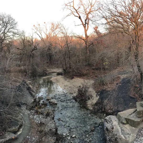Exploring Arbor Hills Nature Preserve, Plano Texas