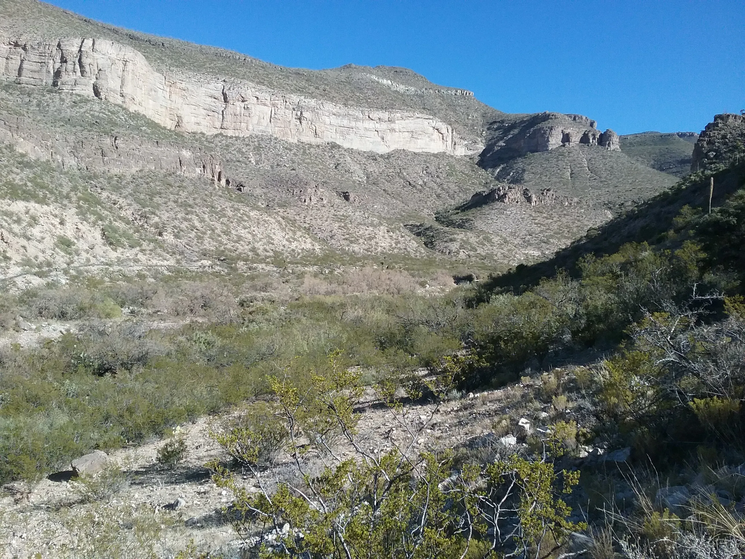 Hike Alamo Canyon Loop Trail