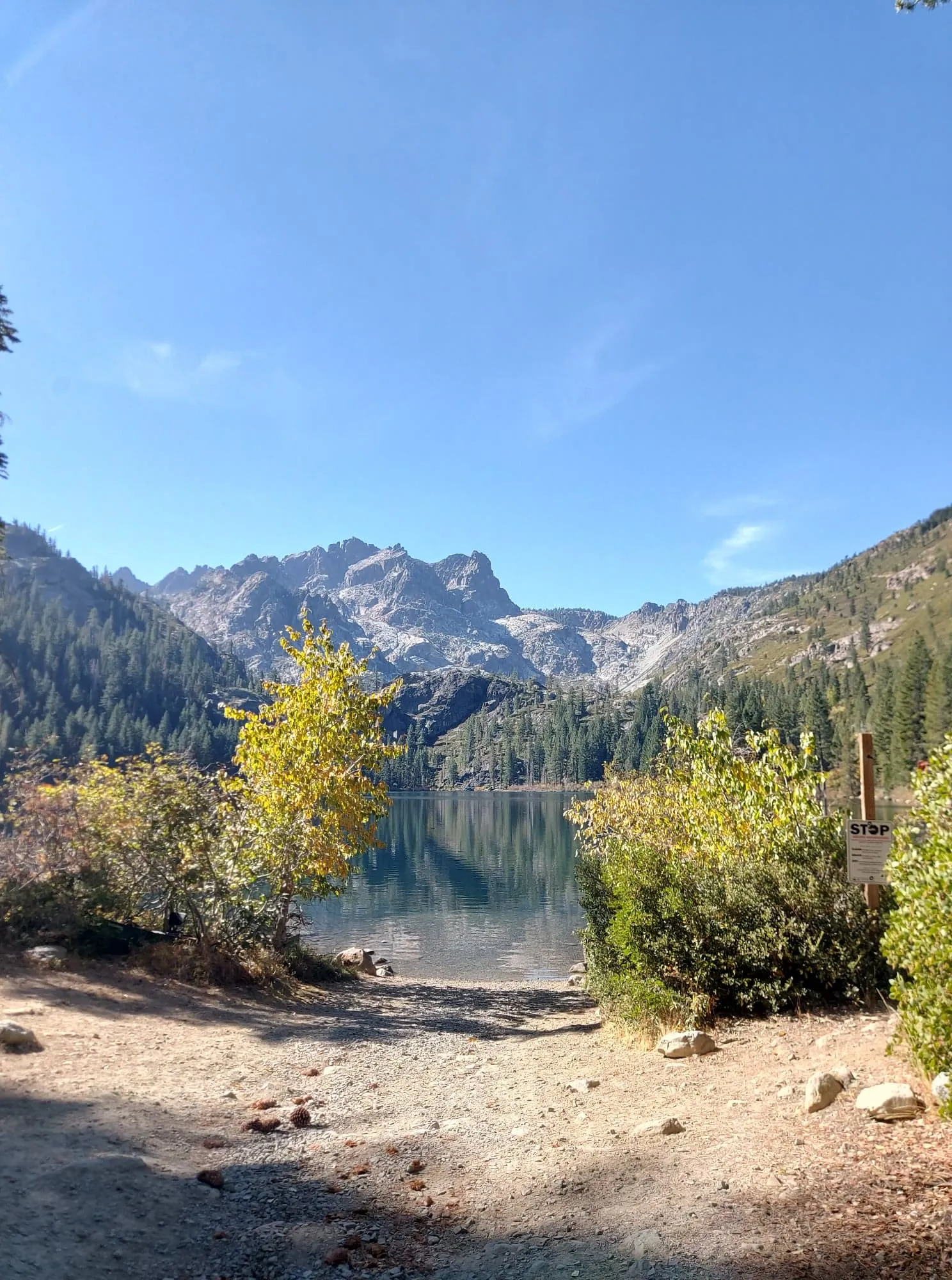 Camp at Sardine Lake Campground