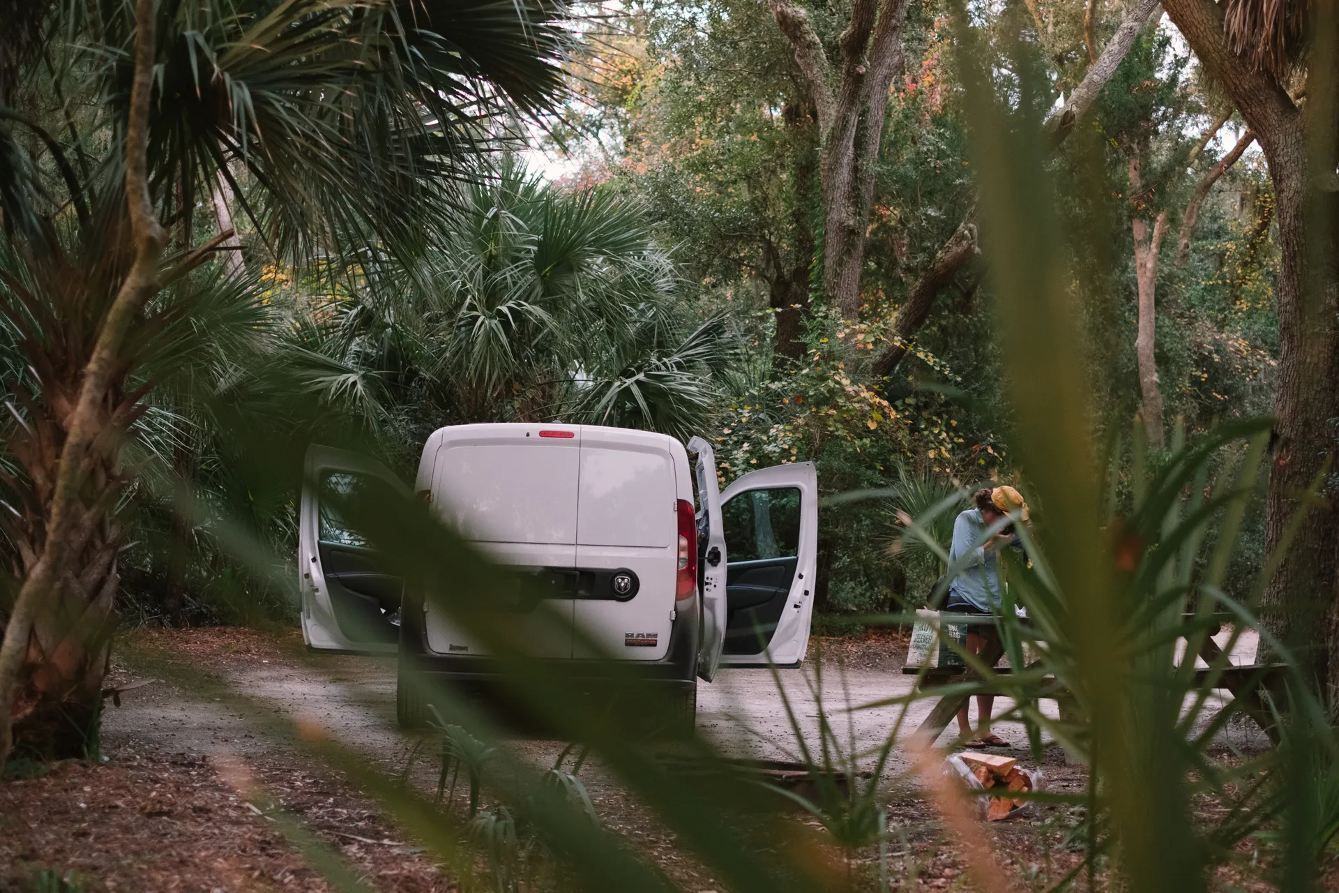 A Road Trip through the Lowcountry