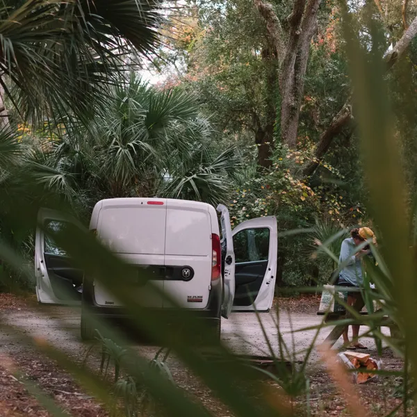 A Road Trip through the Lowcountry