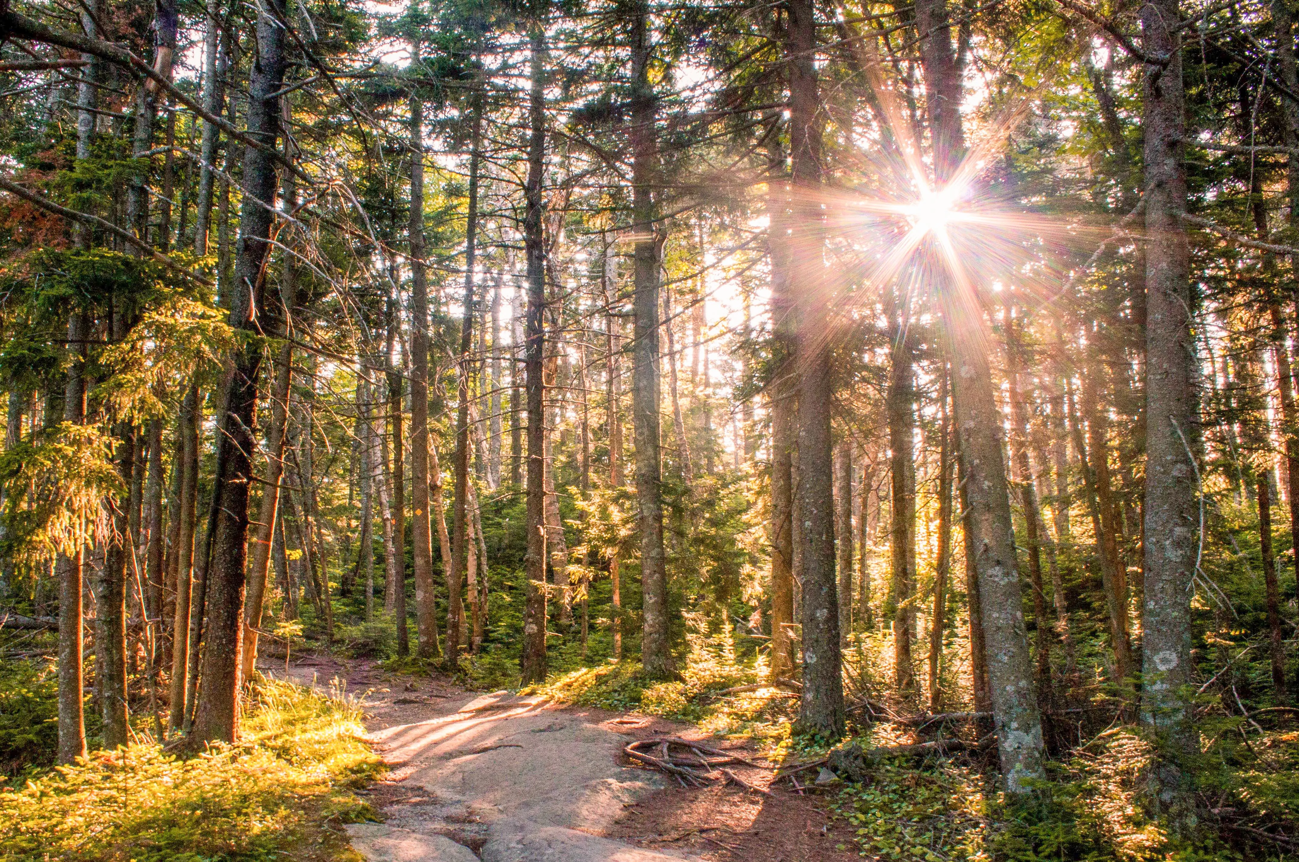 Hike Mount Ascutney