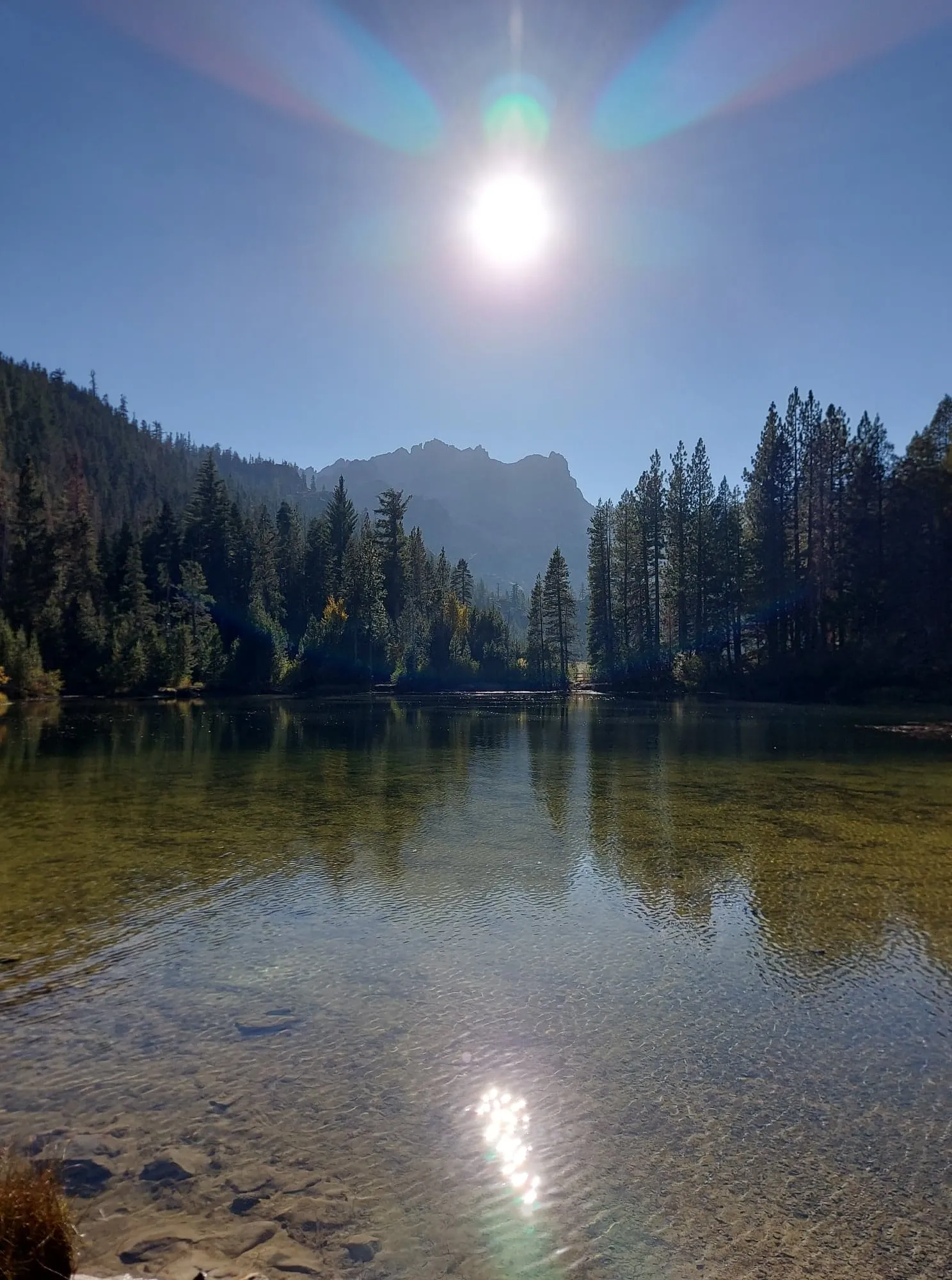 Relax at Sand Pond