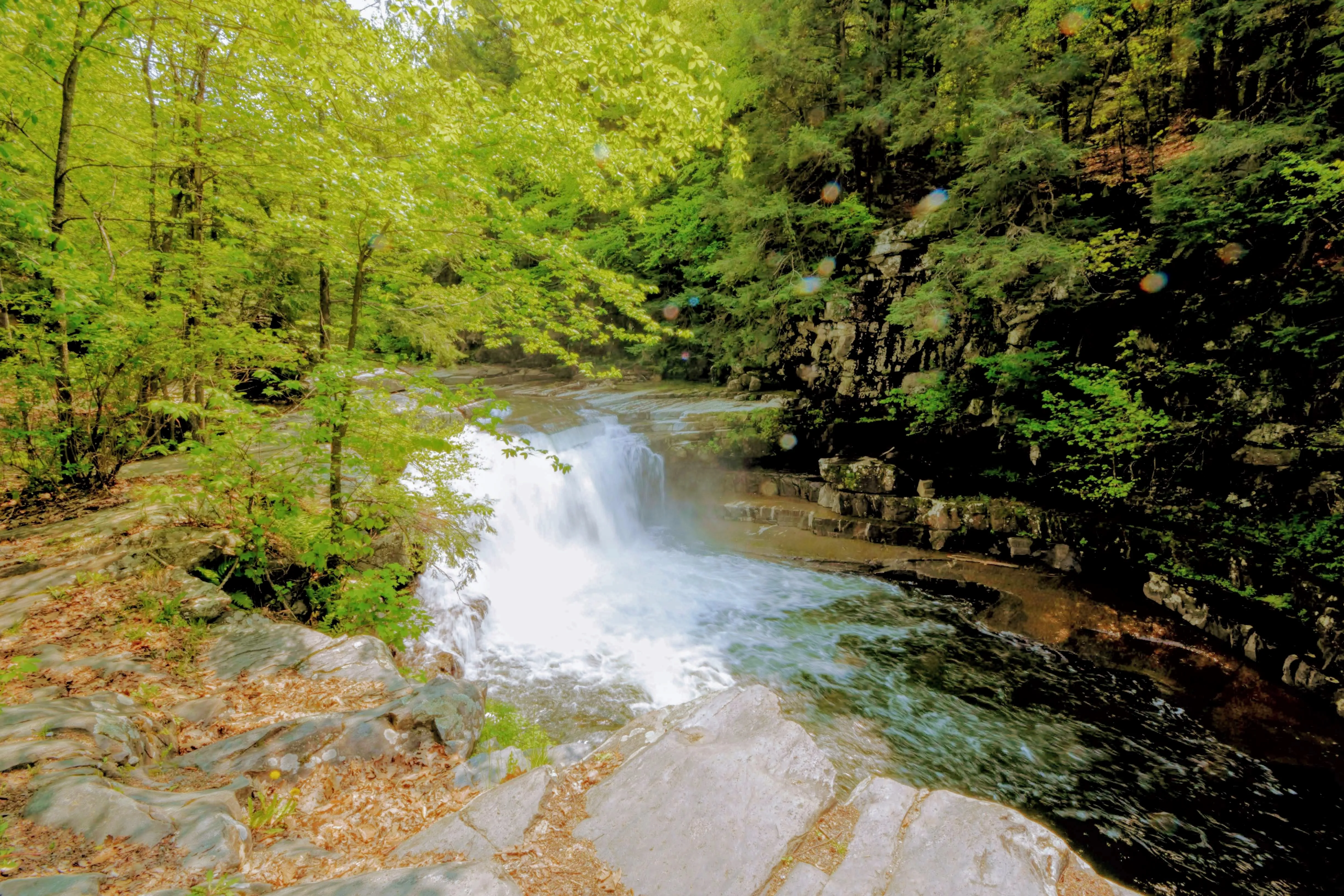 Bartlett Falls