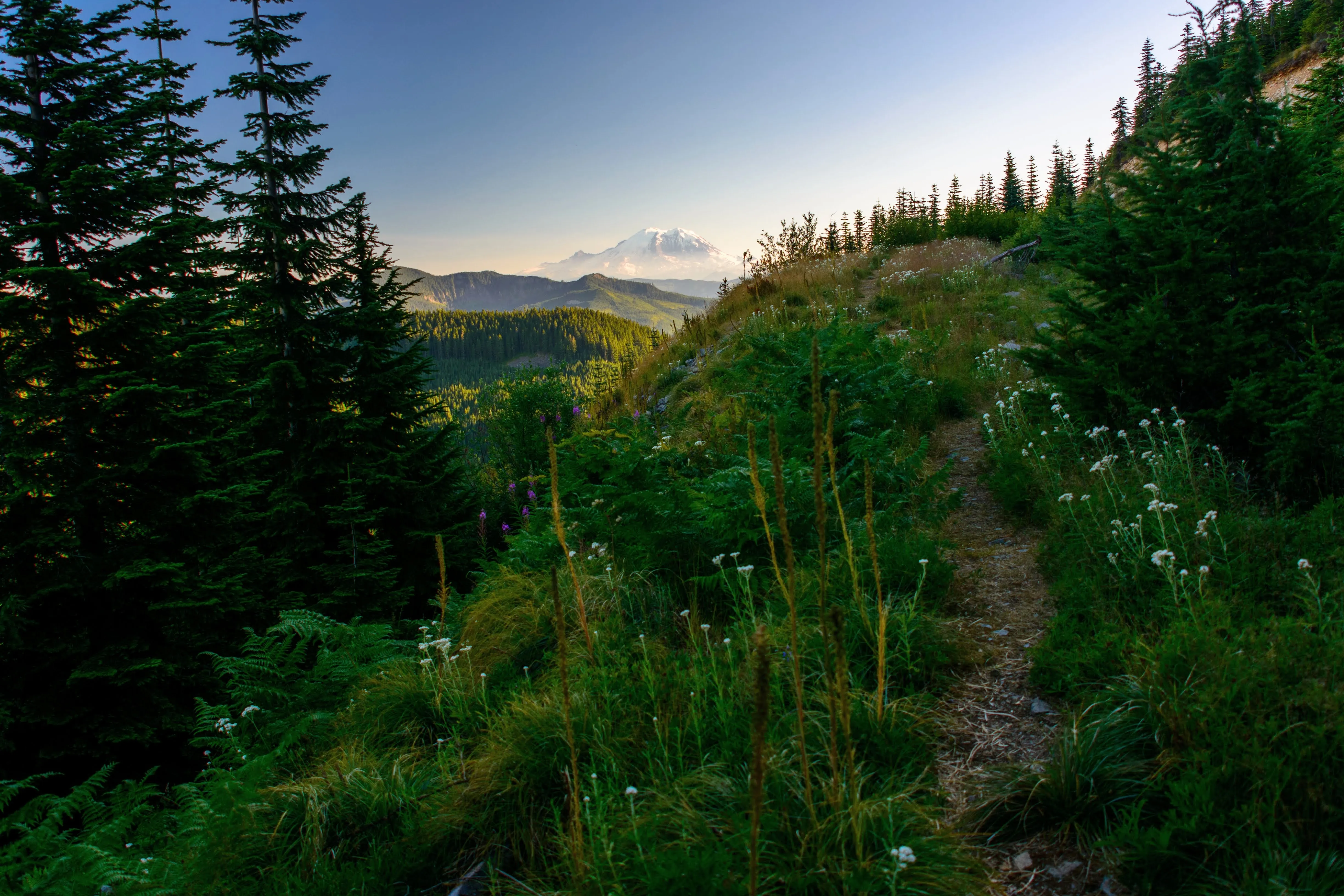 Little Saint Helens via Hansen Creek
