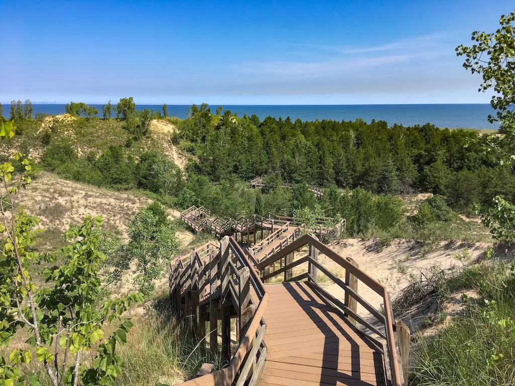 Dune Succession Trail