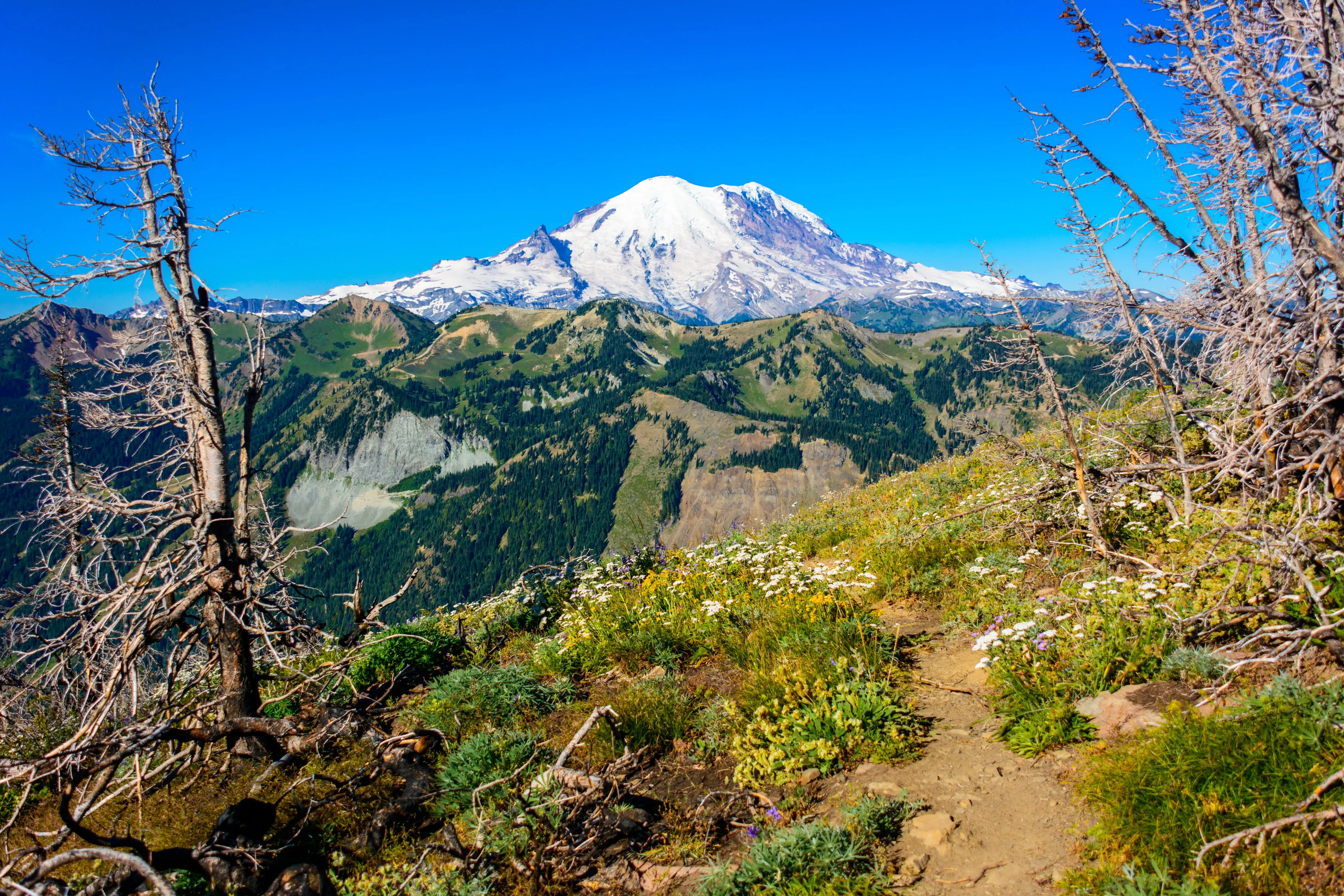 Norse Peak via Silver Creek