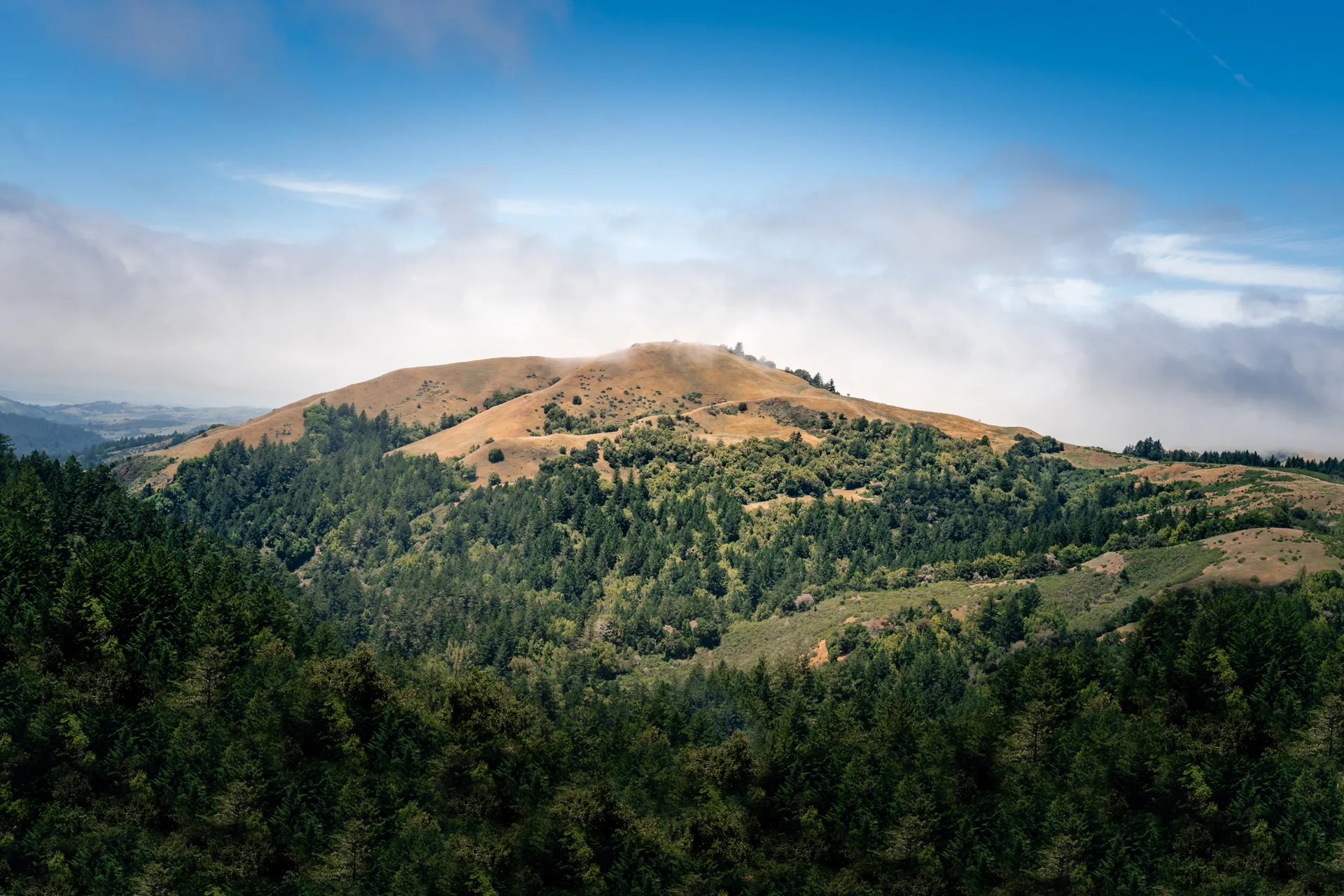 Russian Ridge Loop