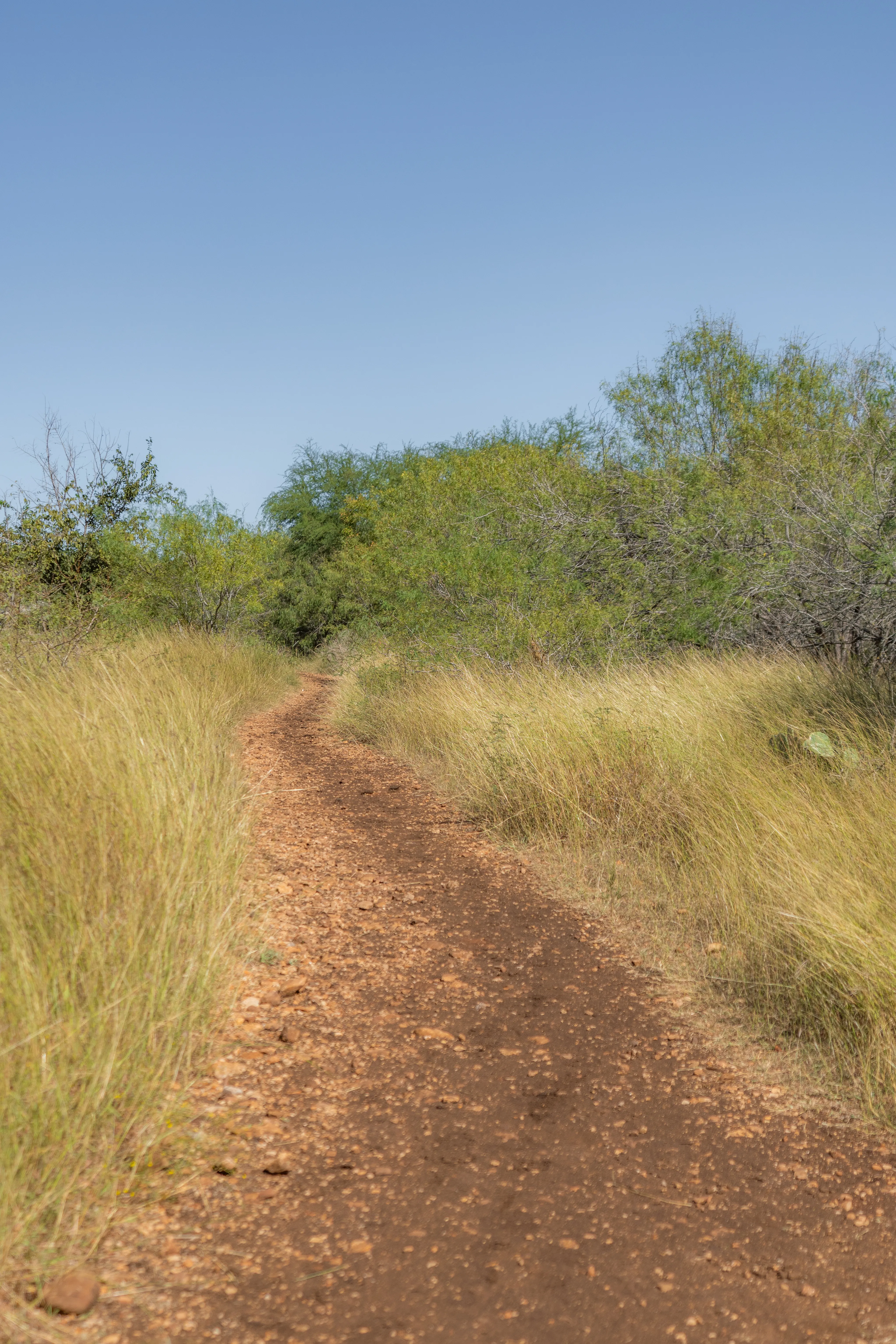 Hike Limbo Loop