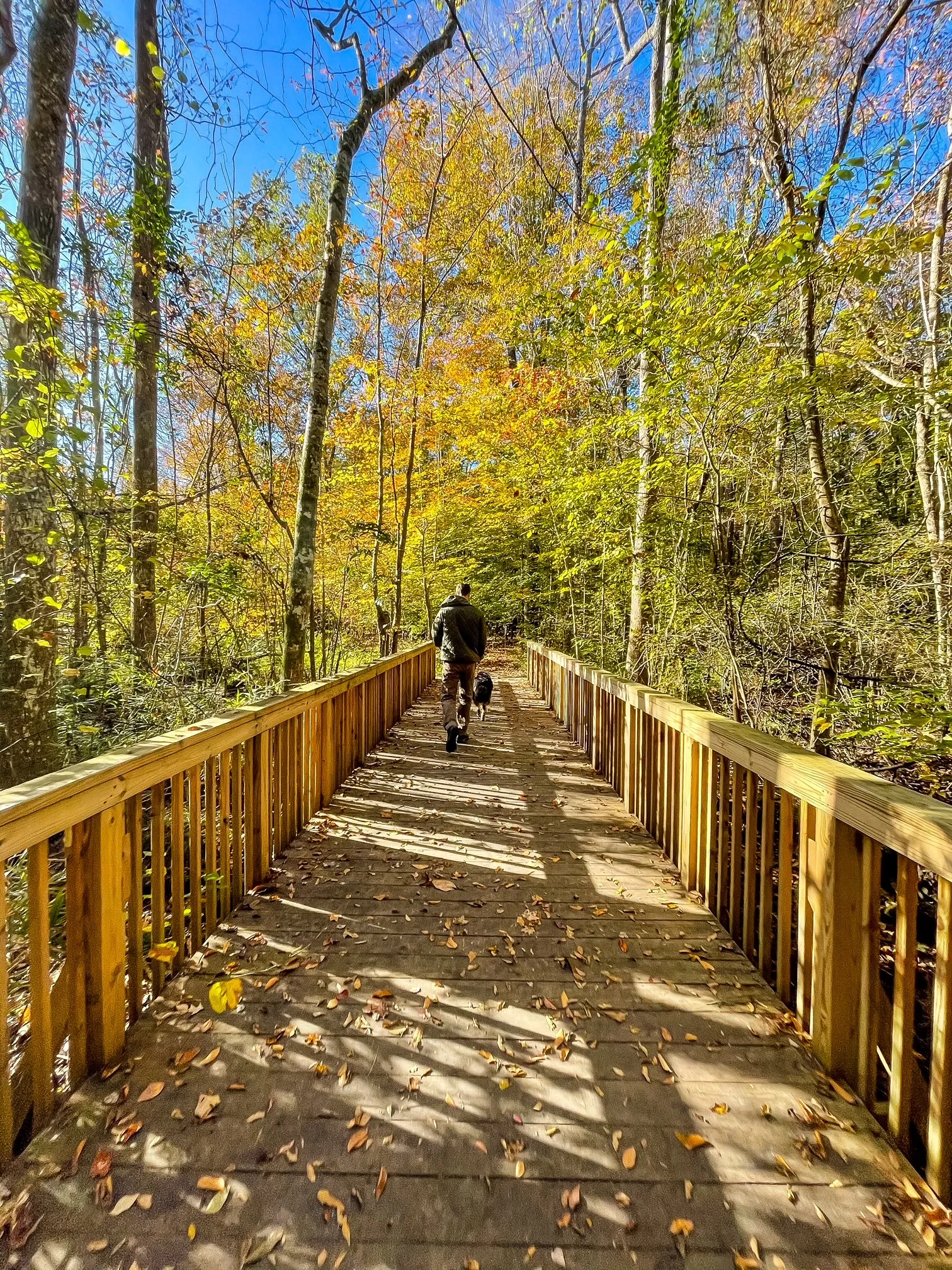 Hike the Northwest River Park East Loop