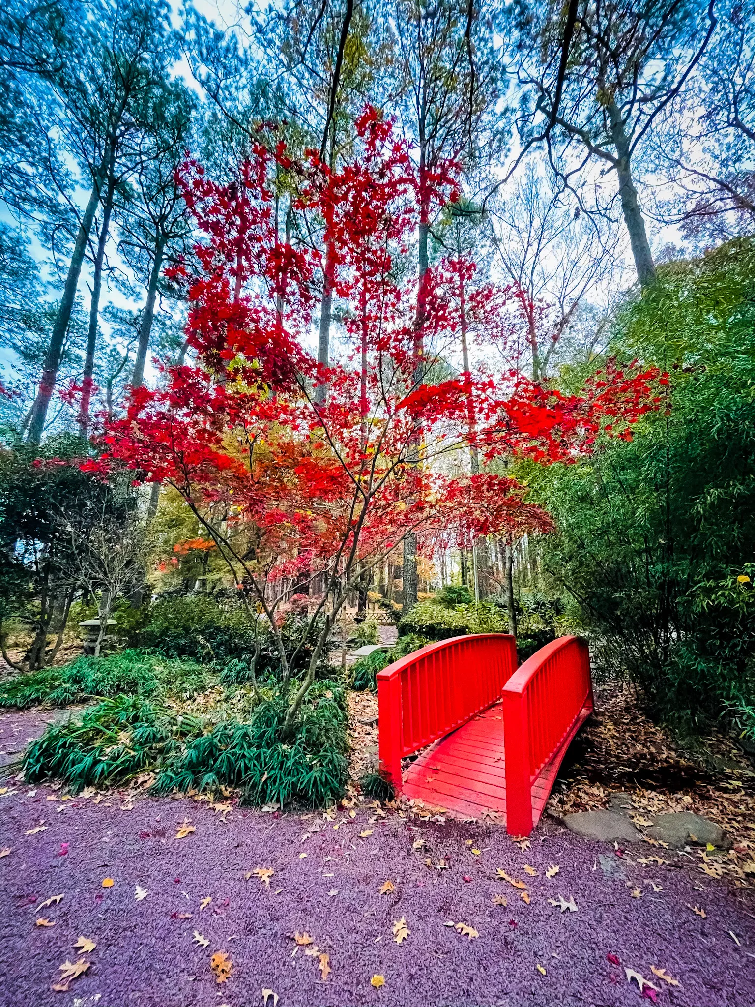 Explore Miyazaki Japanese Garden