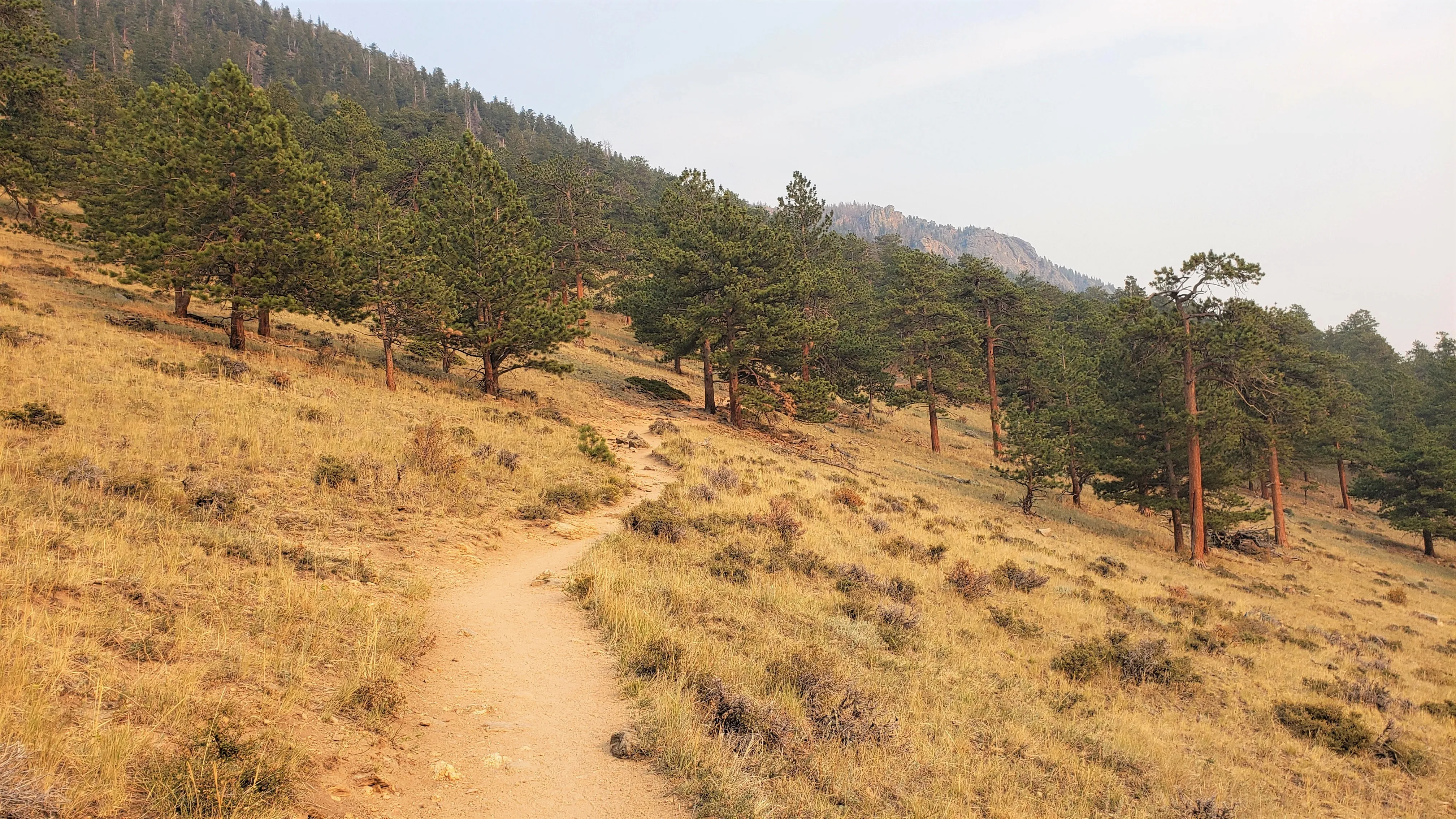 Hike Deer Mountain