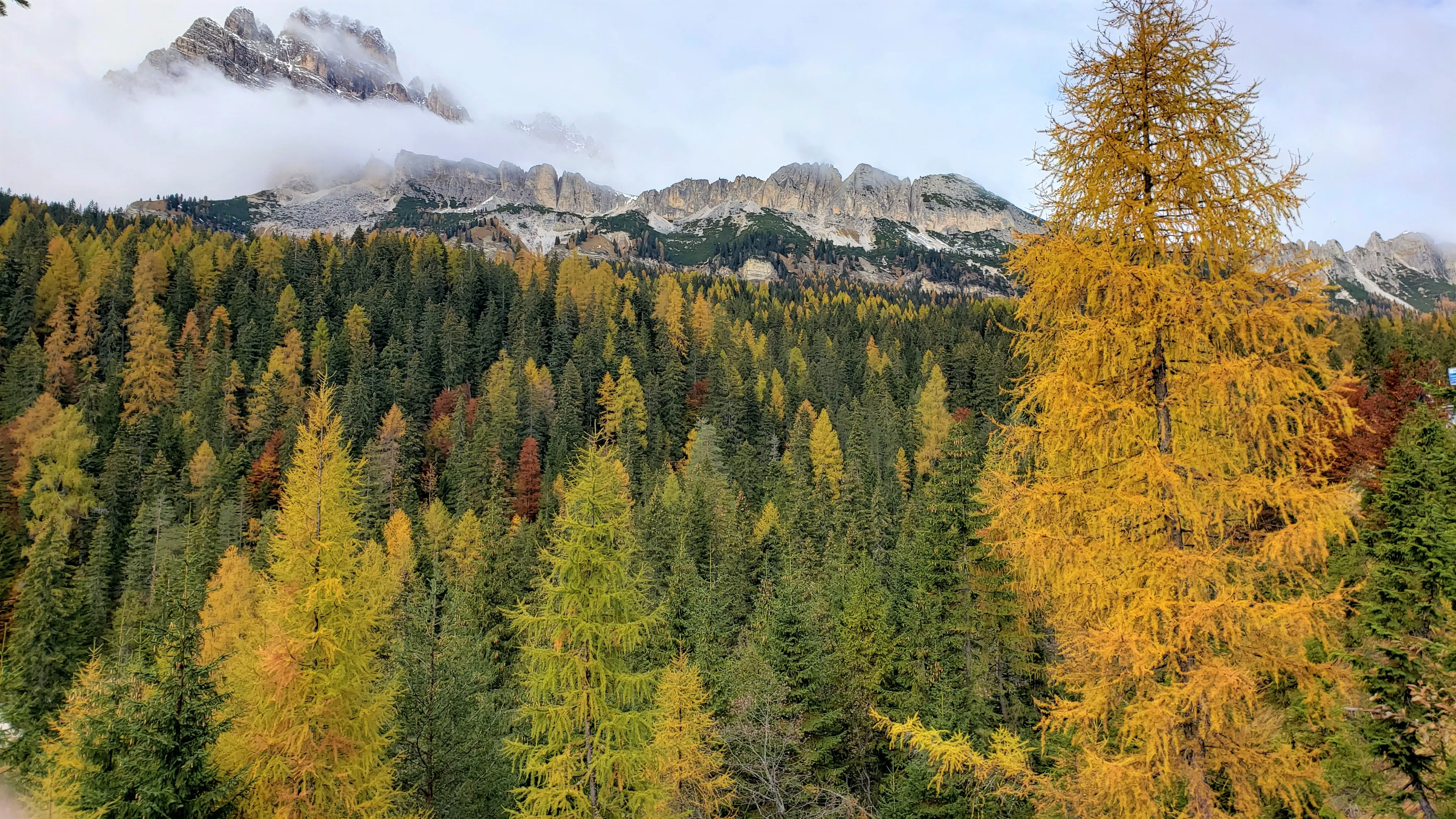 Photograph The Dolomites Near Misurina