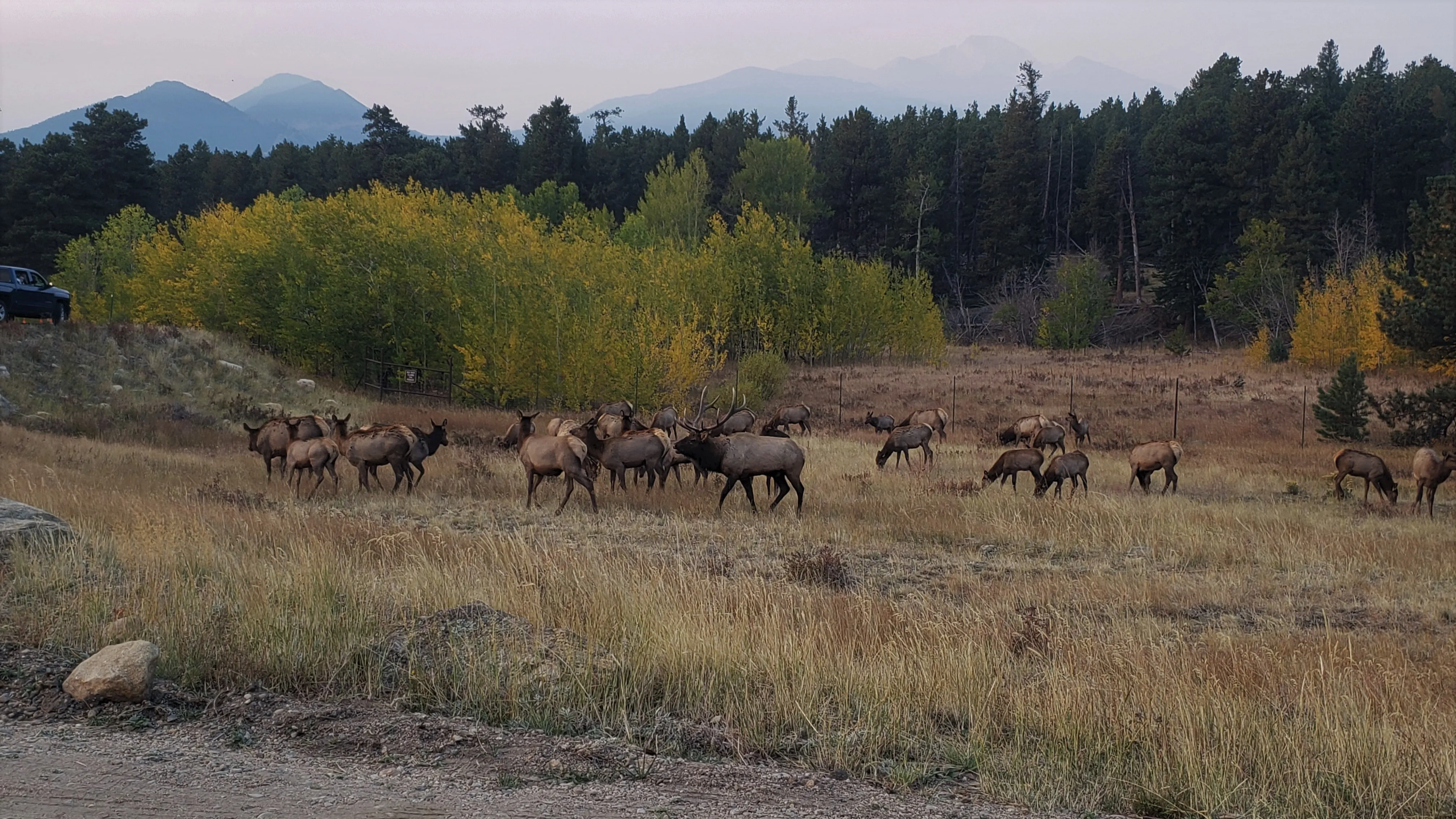 Drive through Rocky Mountain NP to Moraine Park