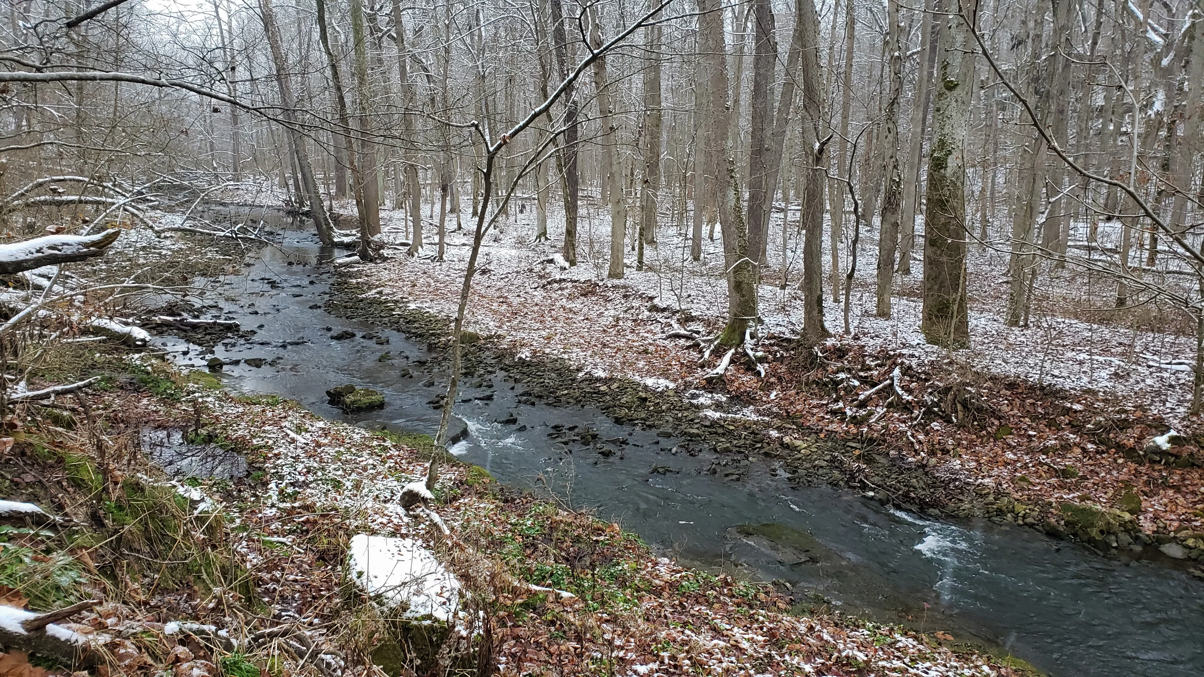 Glen Helen Nature Preserve Loop