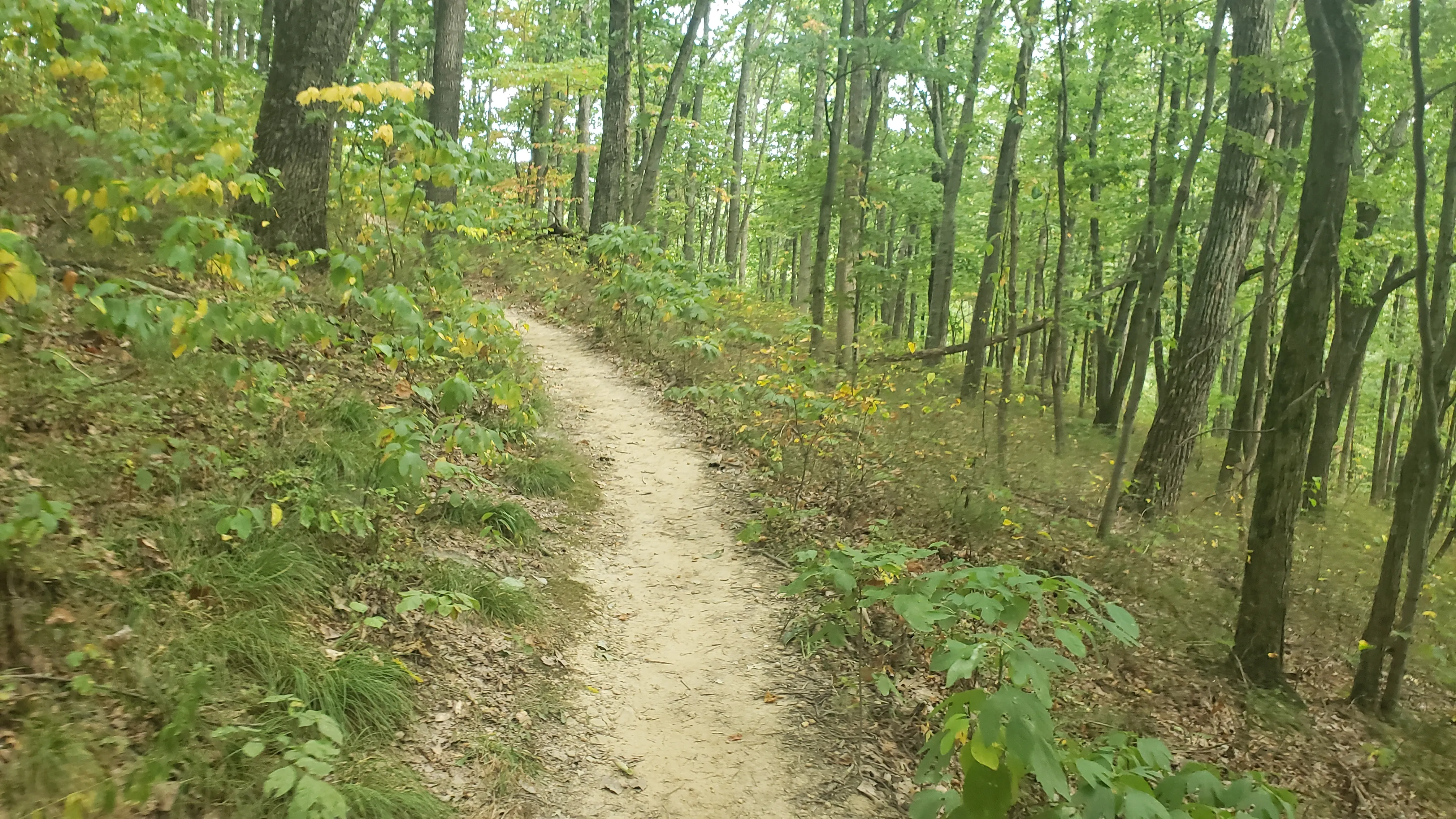 Trail 8 Loop To Hesitation Point