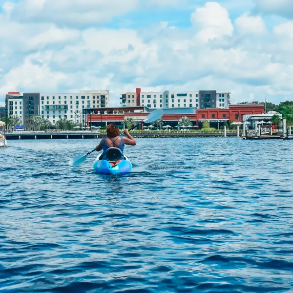 Your Insider Guide to Tampa Bay