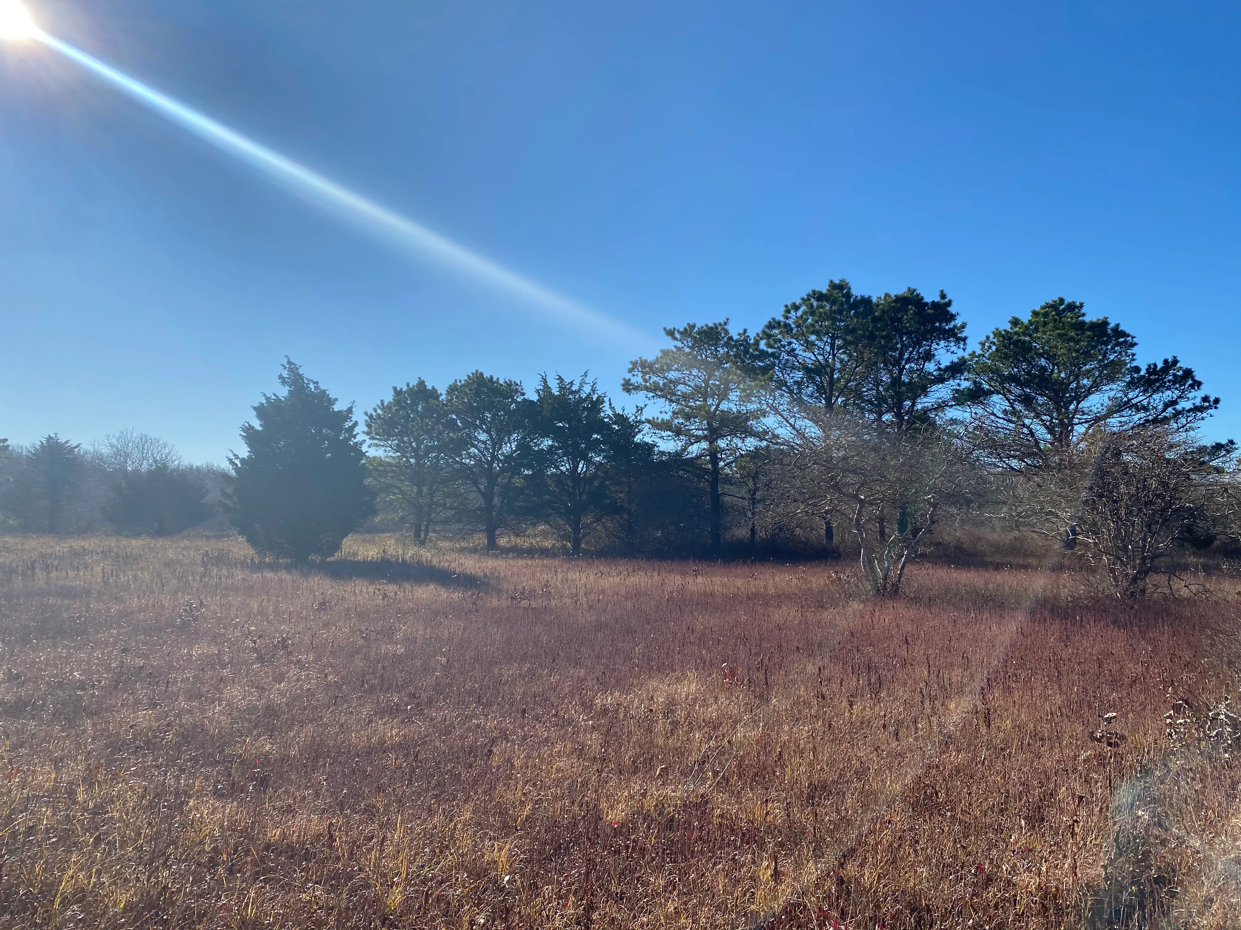 Hike Huckleberry Barrens Trail