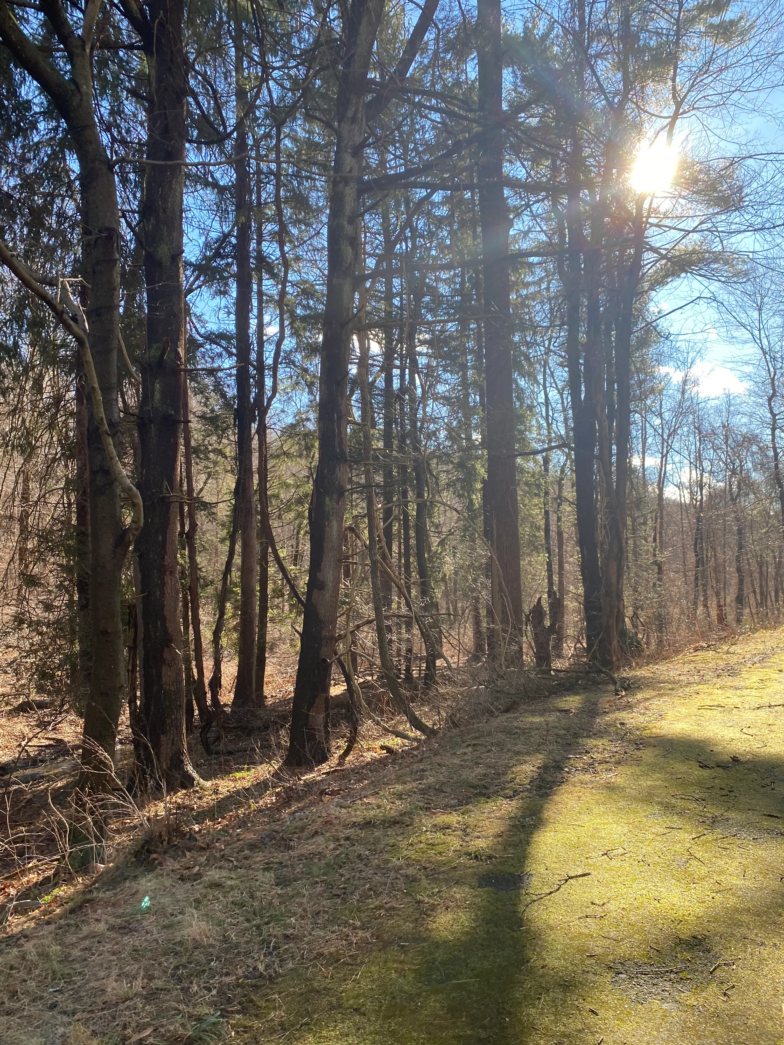 Hike Kate Kennard Trail