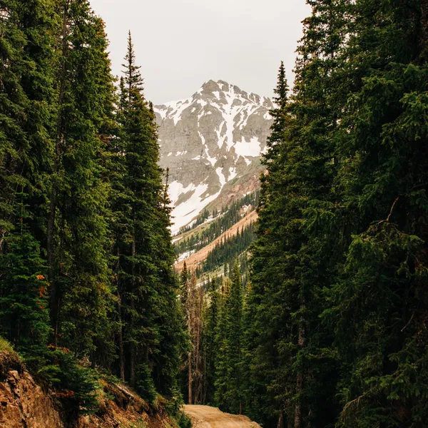 A Story For the Folks Who Never Thought They’d Be "Outdoorsy"