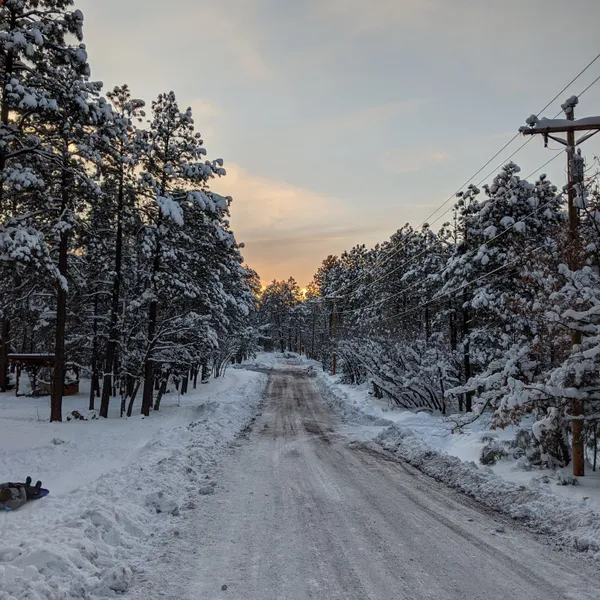 A Novice's Guide to Snowboarding 