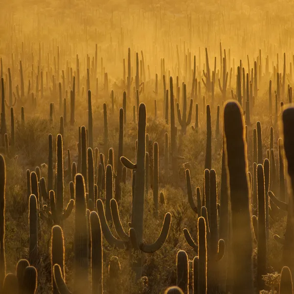 5 Places to Adventure in the Sun This Winter