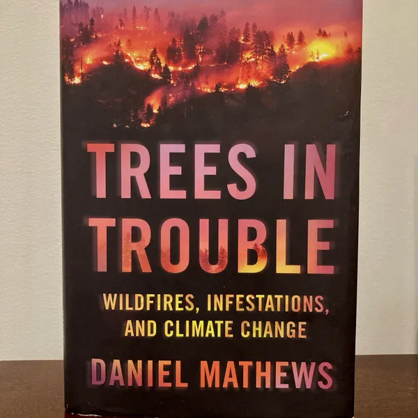 'Trees in Trouble' by Daniel Mathews