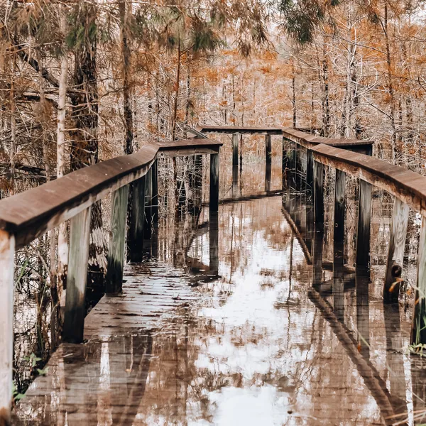 Comprehensive Guide to All the National Parks in Florida
