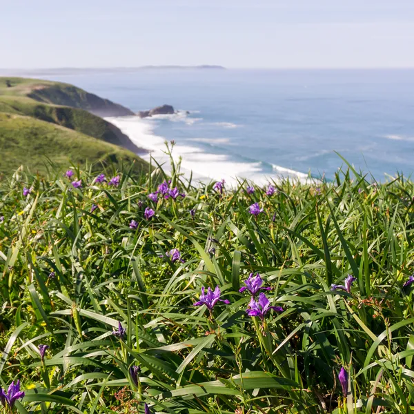 7 Hikes Near Urban Centers to Get Your Nature Fix