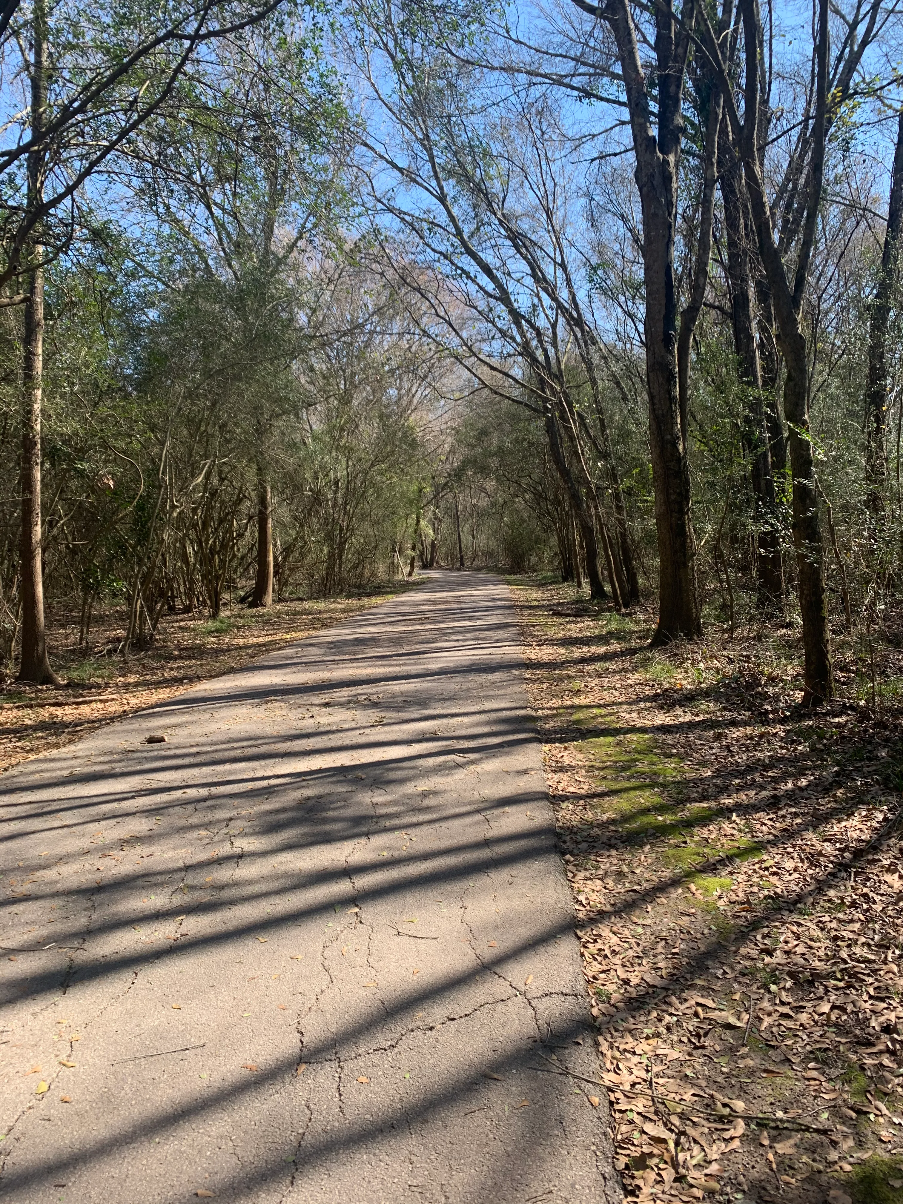 Hike Cullen Park Hike And Bike Trail