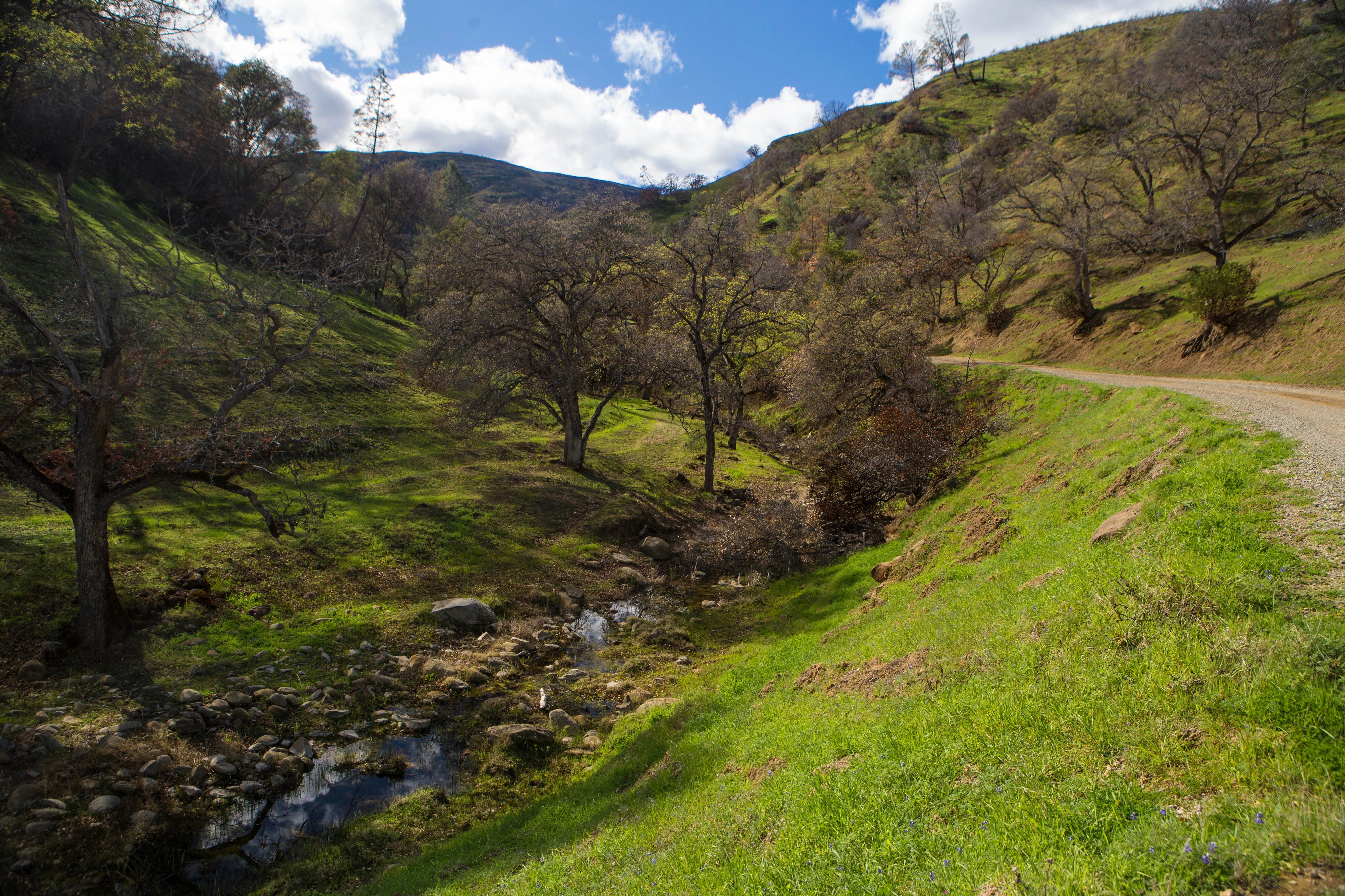 Hike Pierce Canyon