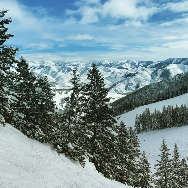 A Vegetarian/Vegan Guide to the Sun Valley Area