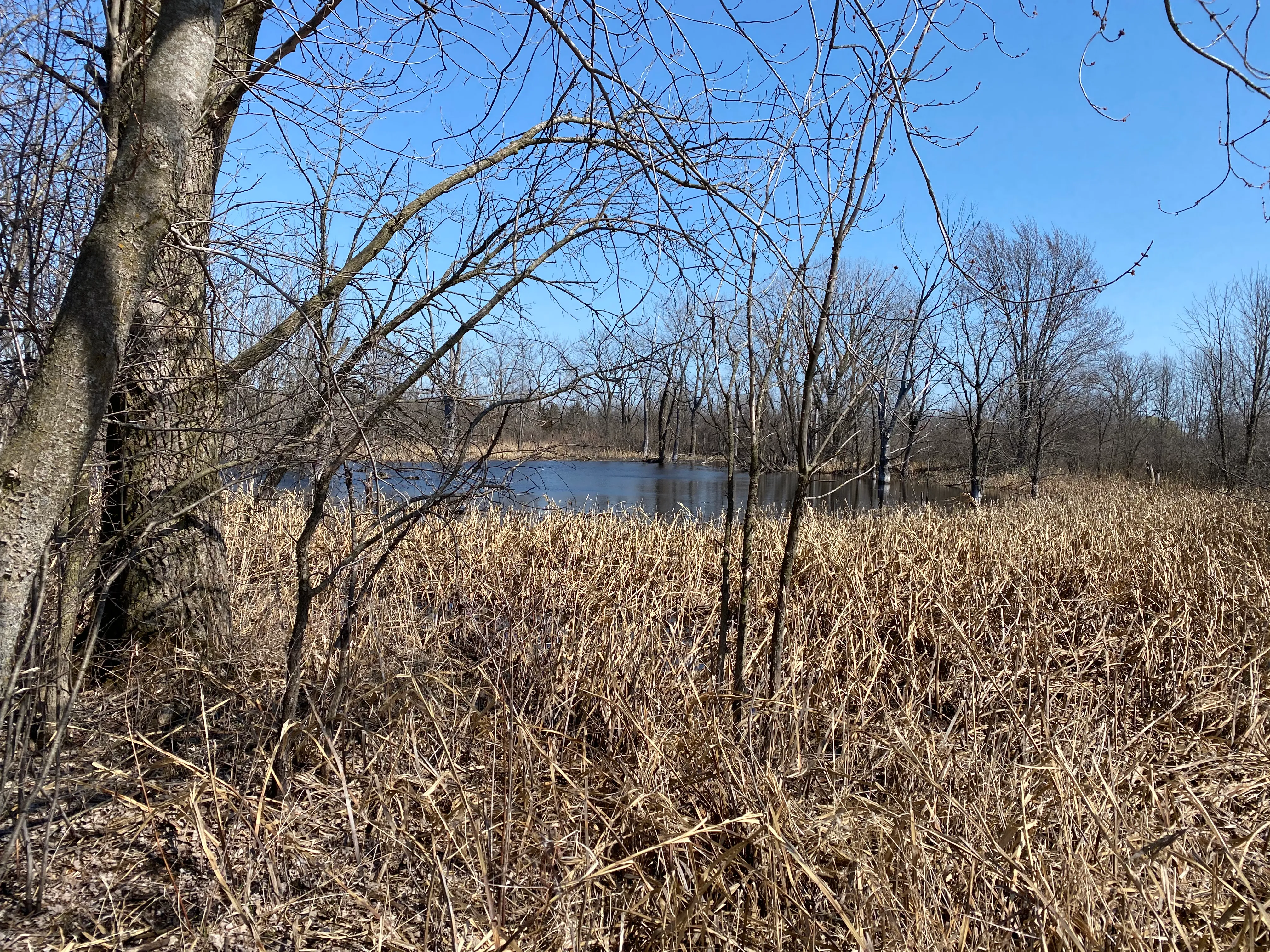 Herrick Lake Trail