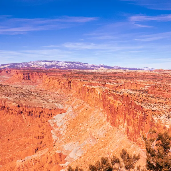 Under the Sea or Hiking at Capitol Reef?