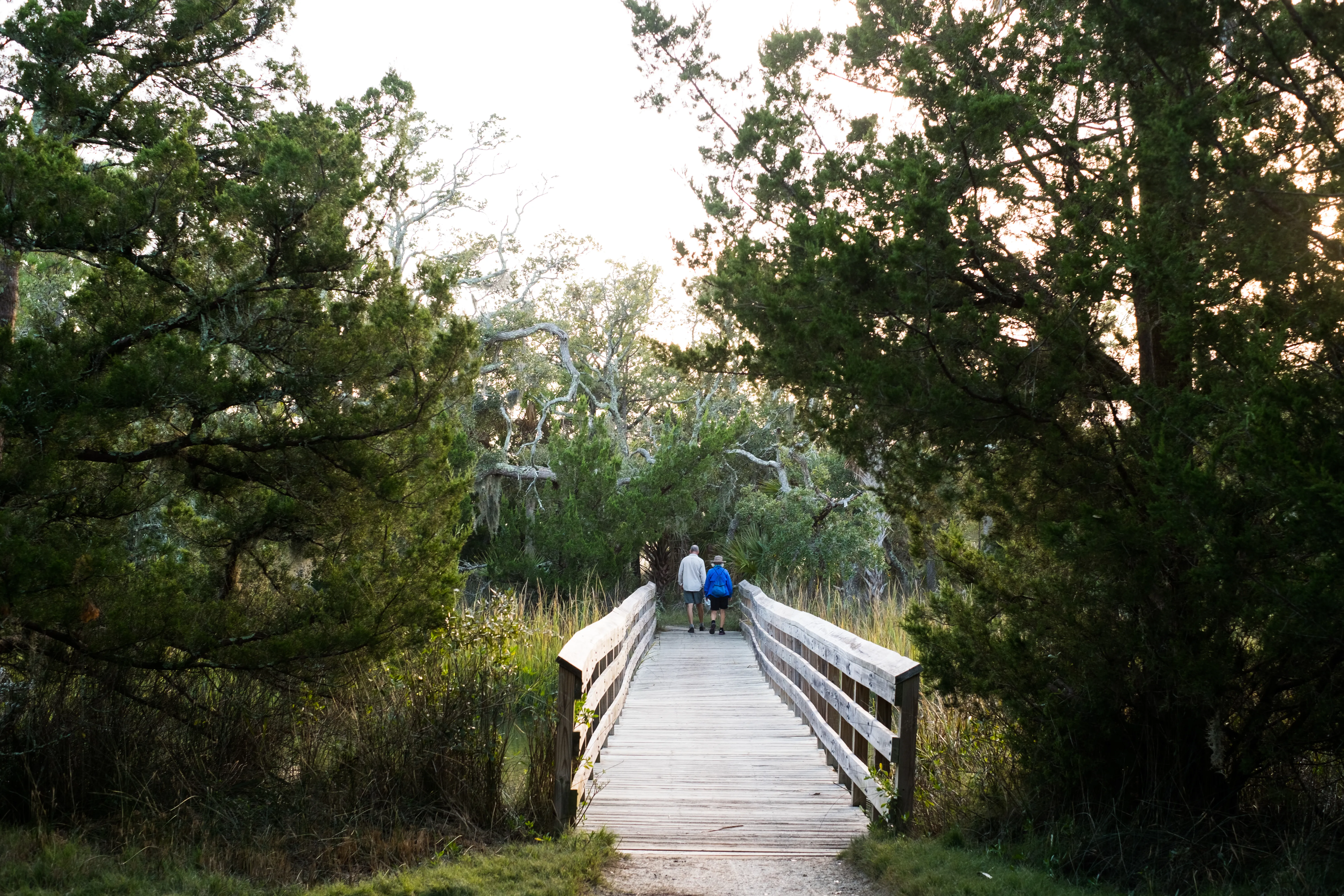 Camping at Edisto Beach State Park