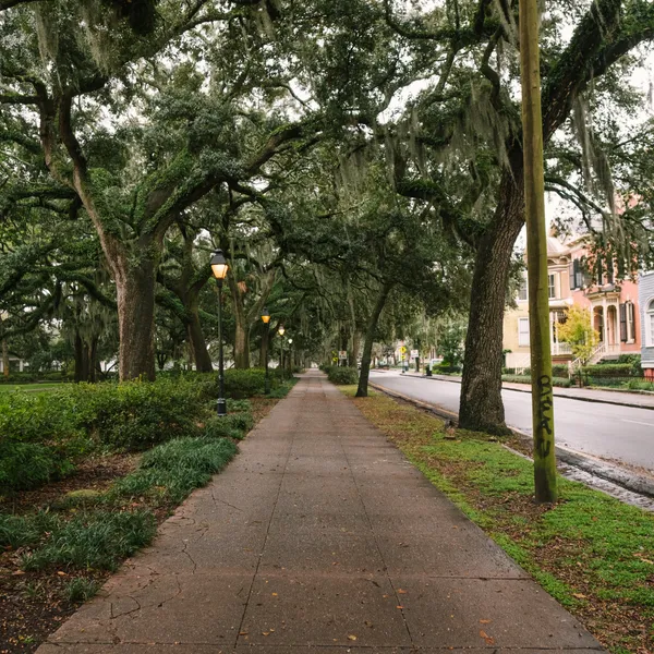 10 Awesome Accessible Adventures in the Southeast