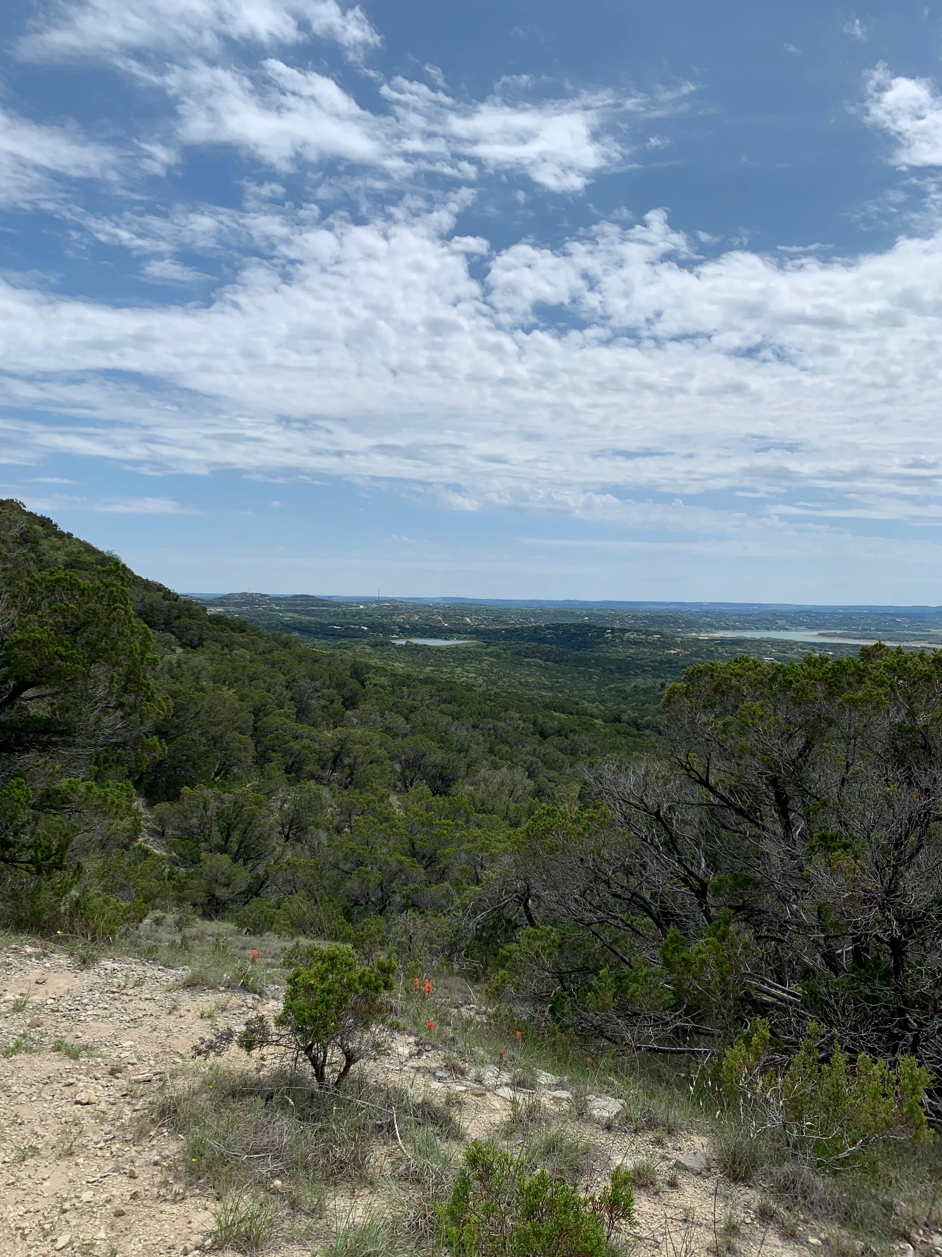 Vista Knoll Loop