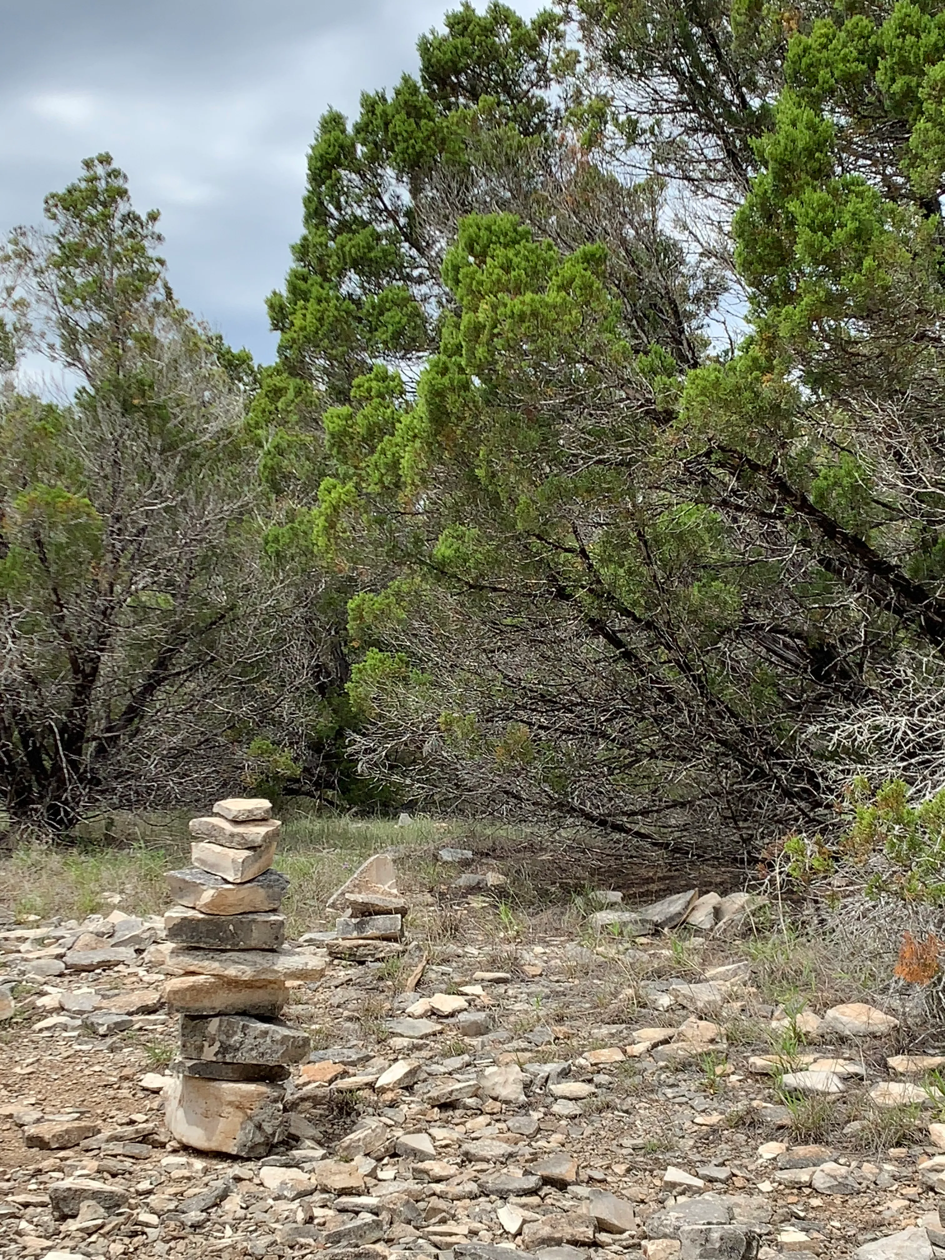 Cactus Rocks Trail
