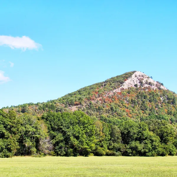 Arkansas's Top Adventures Await You