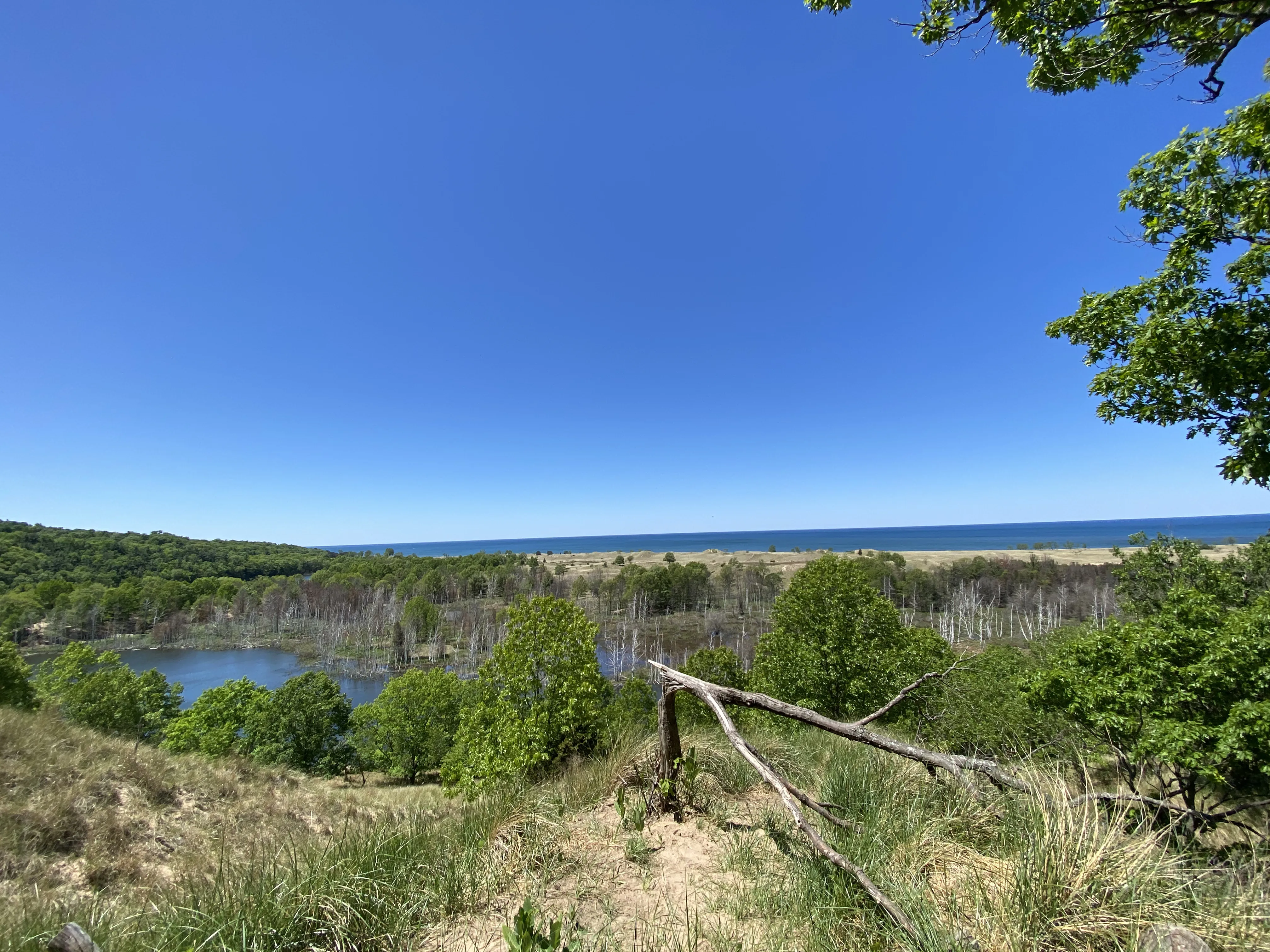 Tallmadge Woods and Crows Nest Loop